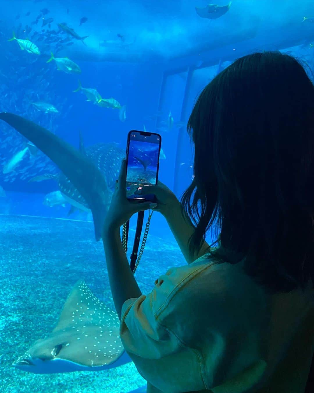 海老野心さんのインスタグラム写真 - (海老野心Instagram)「美ら海水族館綺麗だったなあ🫠🫠🫠 #美ら海水族館」9月15日 19時50分 - heart_u29