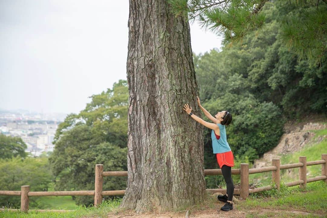 高山都さんのインスタグラム写真 - (高山都Instagram)「高山都が走る鳥取。 という企画で鳥取城跡を走って登山してきました。 鳥取市観光サイトにその様子が記事と動画で紹介されています。  「おはよー！！鳥取！」 朝の7時前、山のてっぺんから眺める鳥取の街の目覚めを一望、なんて美しく清々しいんだと、感動したなー。 エッセオッセと、大汗かいて走って登ったからこそ味わえる早起き時間。 その日の朝ごはんや温泉の美味しい気持ちいいことよ。 朝走ると、その日一日の巡りが良くなる気がするのも好きなんだよなぁー。  旅先では美味しいものも我慢せず気持ちよくいただきたい。 だから、旅先でワタシは走る。 靴さえ持っていけば、どこだって走れる身軽さと、自分の足で向かって知った土地の魅力って、ワタシが見つけた小さな贅沢なのです。  豊かな自然の地だからこそ、山の幸、海の幸、両方味わえて、文化や歴史も奥深い。行けば行くほど楽しい鳥取県、みなさんの次の目的地ややってみたい事の候補のひとつに入れてもらえたら嬉しいです。  photo @tsukaka118  direction & text @kana_tkym  video @tatsuroyasui  special thanks @thelowertheisothebetter  @dk_1xx1  @onsenryokanmarumo」9月16日 11時42分 - miyare38