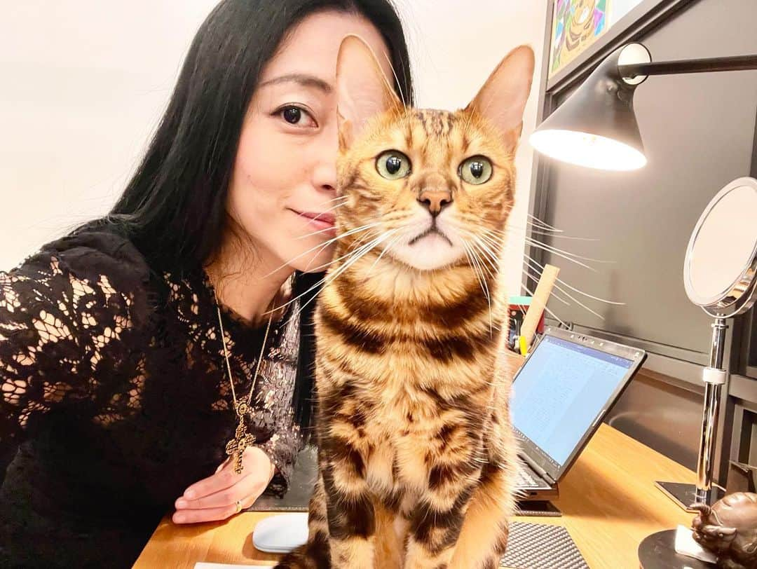 三浦瑠麗さんのインスタグラム写真 - (三浦瑠麗Instagram)「ねこねこシリーズ。 きょうはずーーっと甘えんぼのレオくんでした。」9月16日 17時51分 - lullymiura