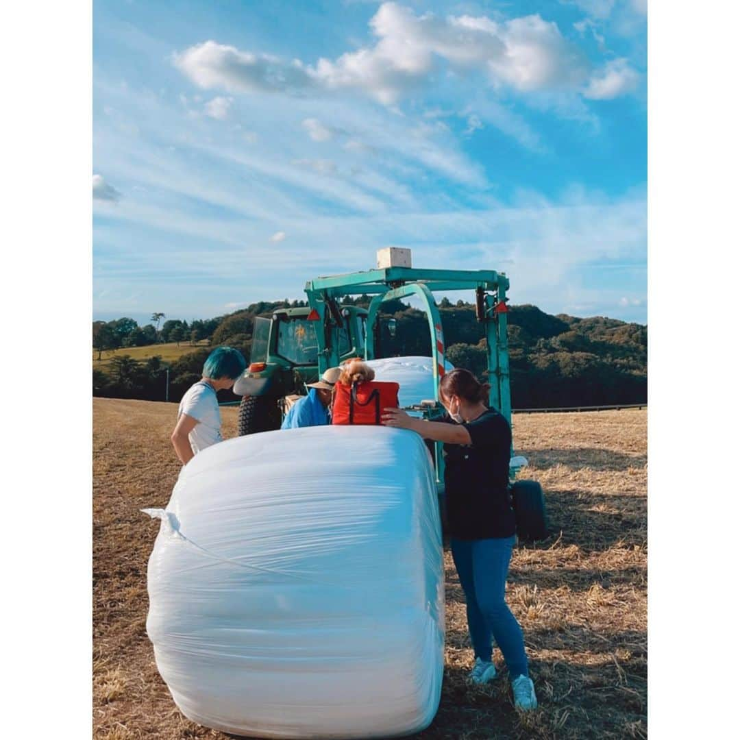 紗栄子さんのインスタグラム写真 - (紗栄子Instagram)「@nasufarmvillage は、 牧草収穫の季節です🚜🌿🌾  お天気に感謝🌞🙏🏻✨」9月16日 20時44分 - saekoofficial