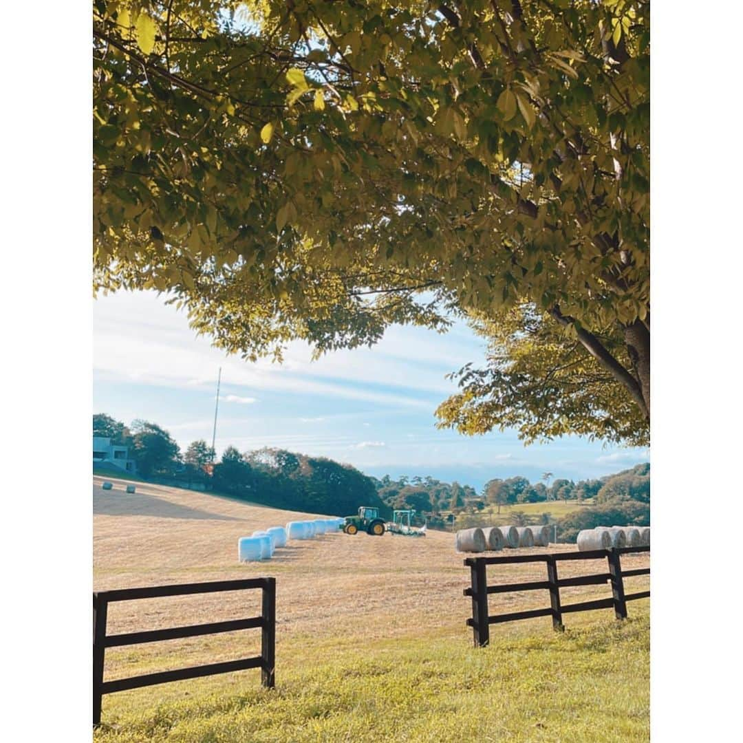 紗栄子さんのインスタグラム写真 - (紗栄子Instagram)「@nasufarmvillage は、 牧草収穫の季節です🚜🌿🌾  お天気に感謝🌞🙏🏻✨」9月16日 20時44分 - saekoofficial