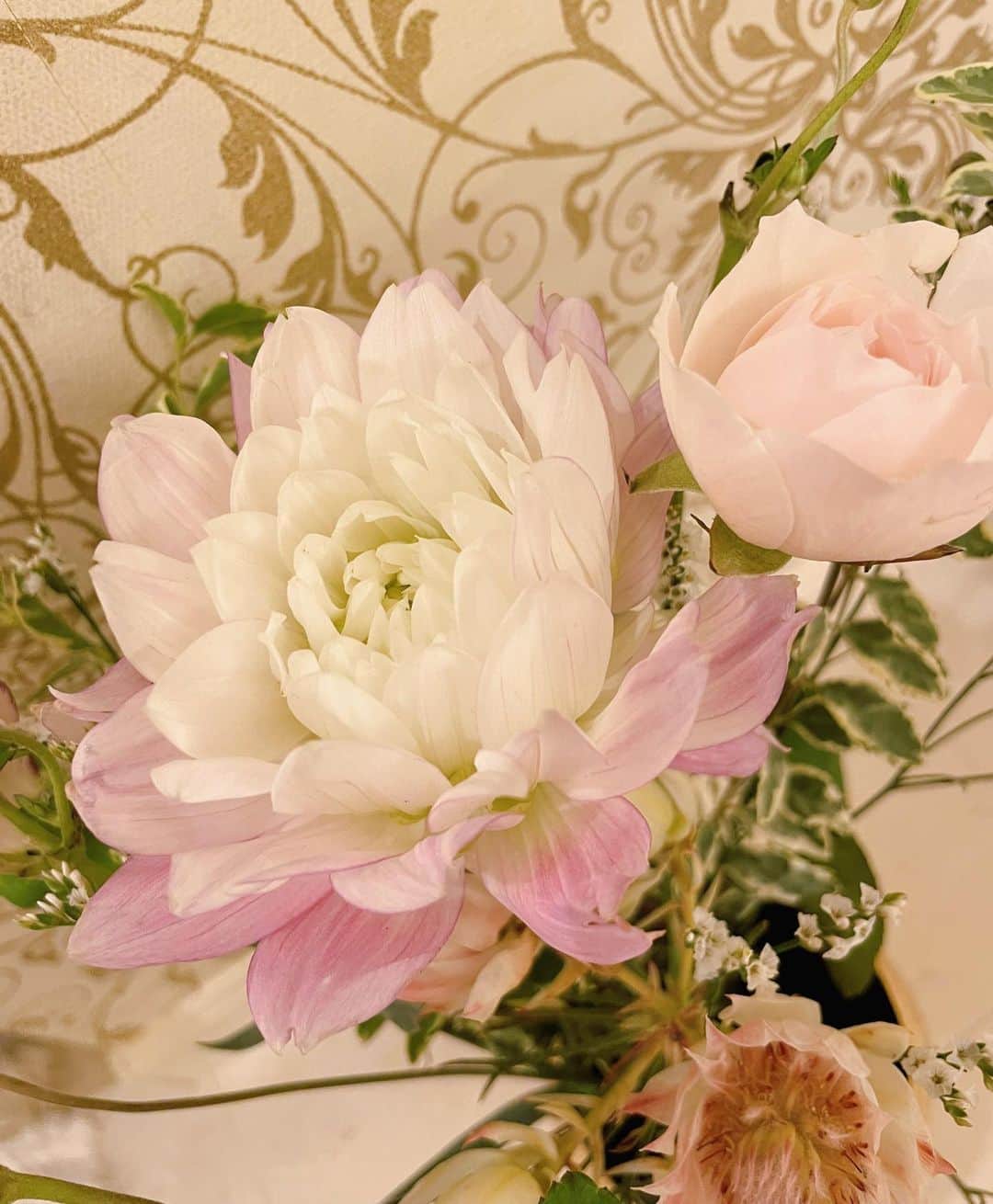 安めぐみさんのインスタグラム写真 - (安めぐみInstagram)「今日はアロマのお仕事でした☺︎  と、最近の玄関のお花と、ホッ。  #お仕事 #アロマ #玄関のお花シリーズ #ダリアの季節  #ホッ #今日もお疲れ様でした😊」9月16日 21時27分 - yasu_megumi_official