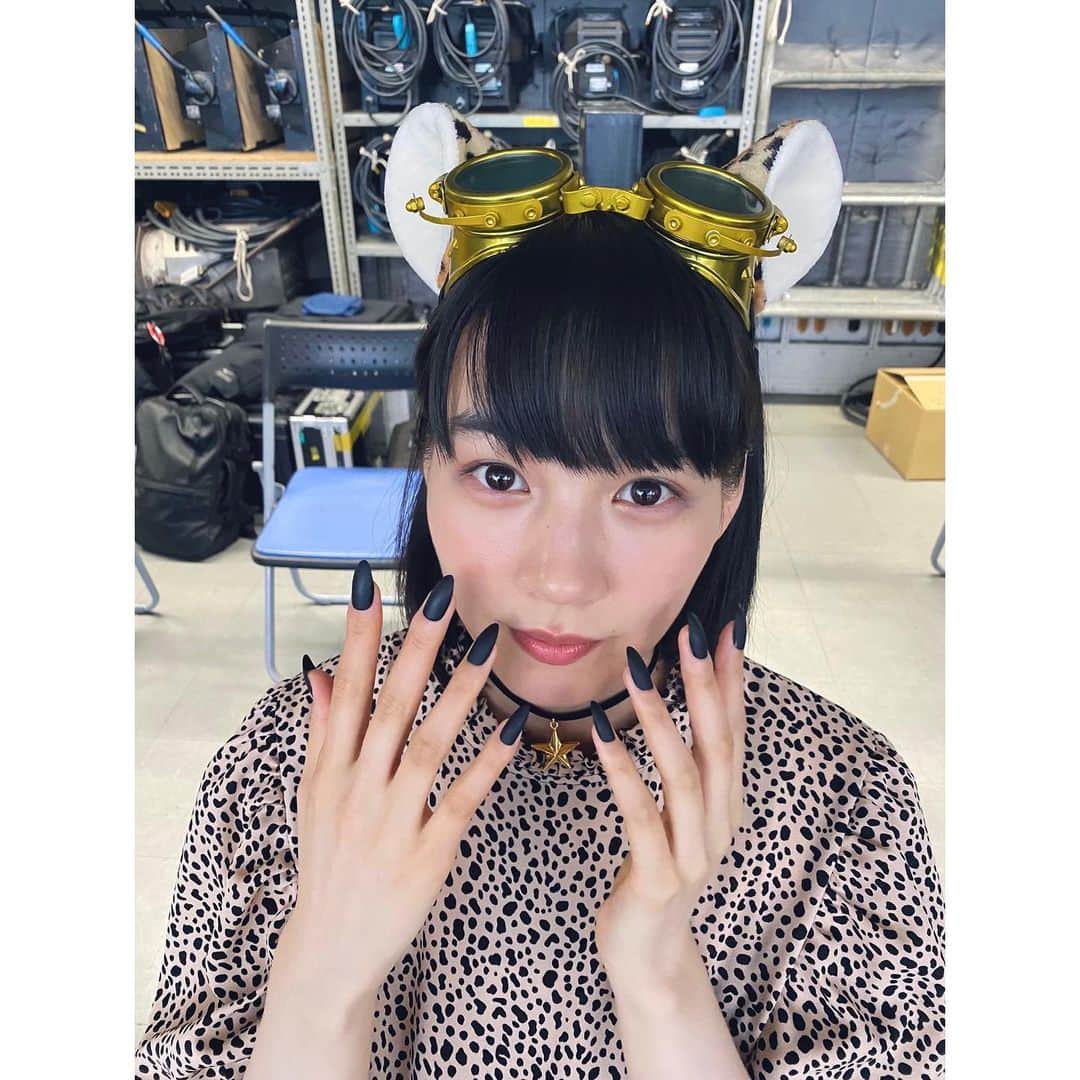 のん（能年玲奈）さんのインスタグラム写真 - (のん（能年玲奈）Instagram)「黒い爪🐈‍⬛  スターキャット撮影の時のオフショット。 黒い爪をメイクの菅野さんがつけてくれてめちゃお気に入り。ずーっと爪を見てました💅 これはチーターですが、私は猫が好きです。皆さんは何派？  #スターキャット」9月17日 13時45分 - non_kamo_ne