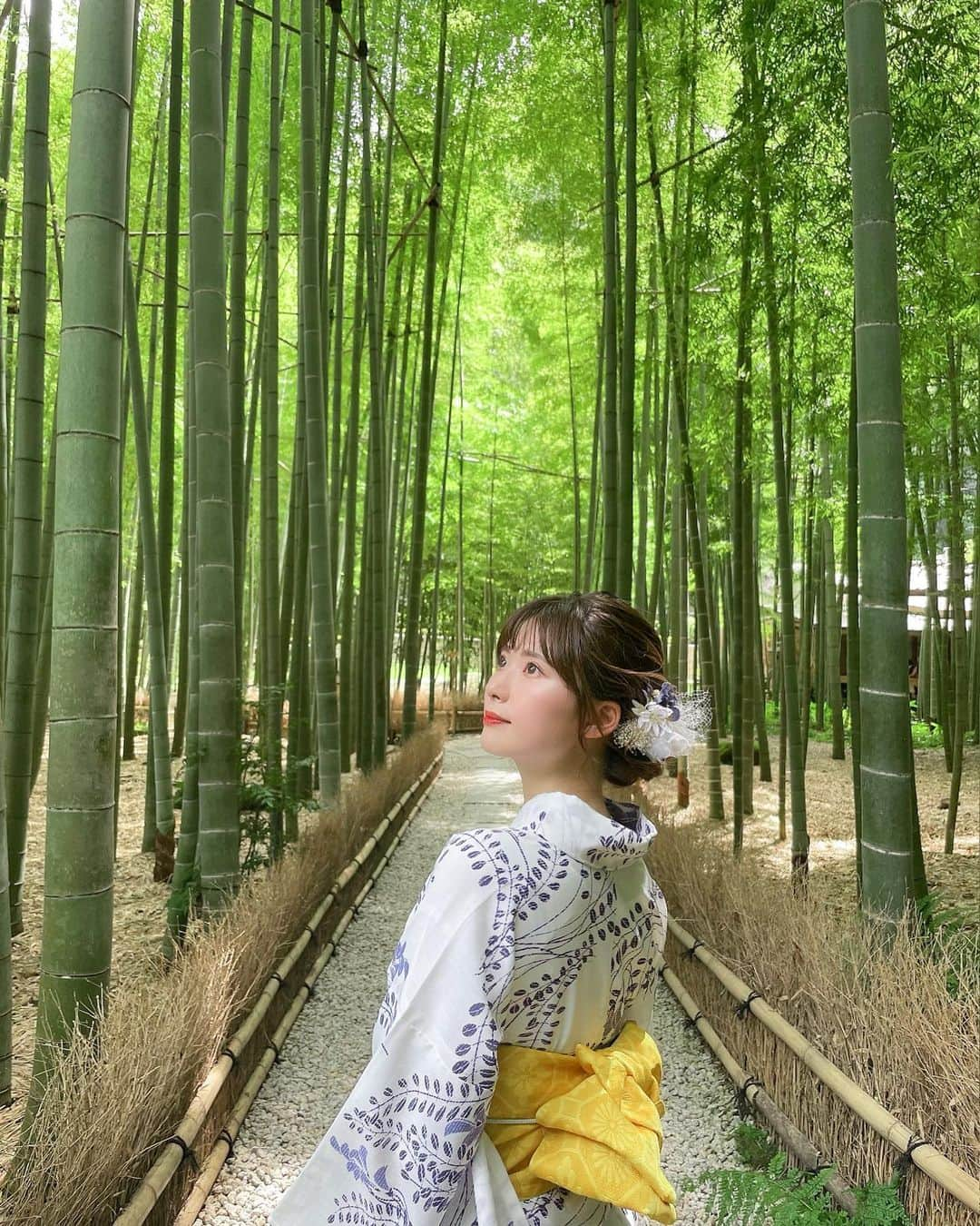 伊藤奈月さんのインスタグラム写真 - (伊藤奈月Instagram)「⁡ 涼しげな浴衣🎋 竹林の中で抹茶をいただいたよ😌🍵 ⁡ #竹林  #鎌倉  #浴衣  #抹茶」9月17日 23時21分 - naachan__