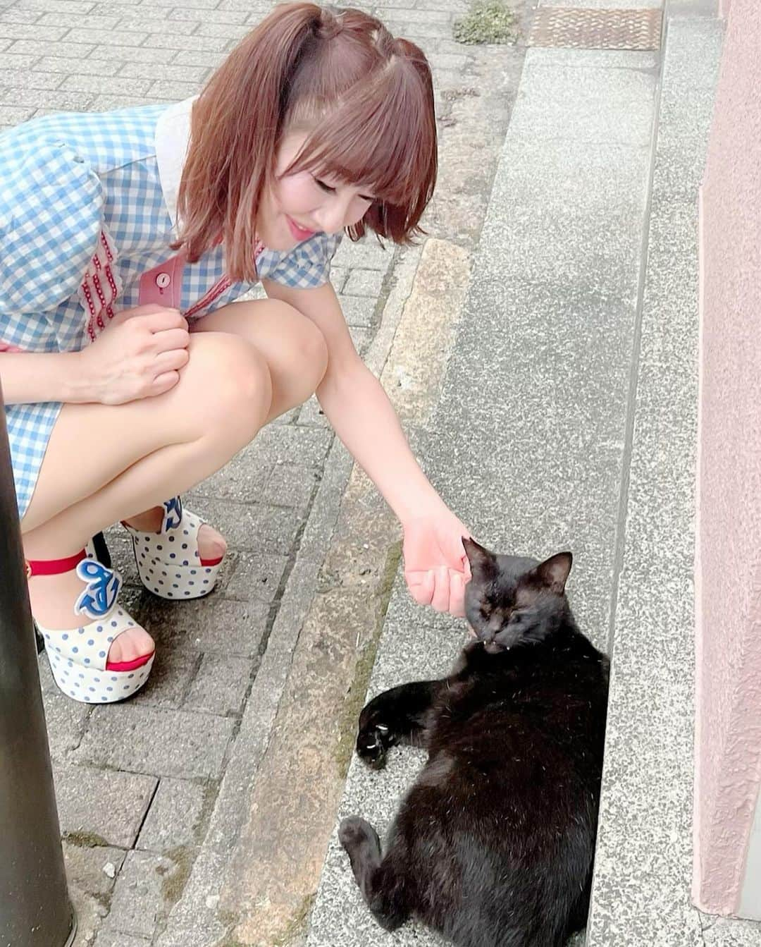 さゆりさんのインスタグラム写真 - (さゆりInstagram)「台風🌬皆様大丈夫でしょうかぁ　街角で守り主感たっぷりんのニャンコちゃんに出会いましたぁ〜😍  #カッコいい〜🤩 #キバにゃん です〜🤩 #そのボスにゃんから #『早く愛でろ❣️😼』って言われて全身マッサージして差し上げる侍従ですの巻〜🤣 #近畿もこれから荒れ模様 #お外の子達いい隠れ家見つかりますように❣️ #かつみさゆり #さゆり#大型台風 #全国の皆様が大丈夫ですように🍀😆」9月18日 12時37分 - katsumisayuri_sayuri