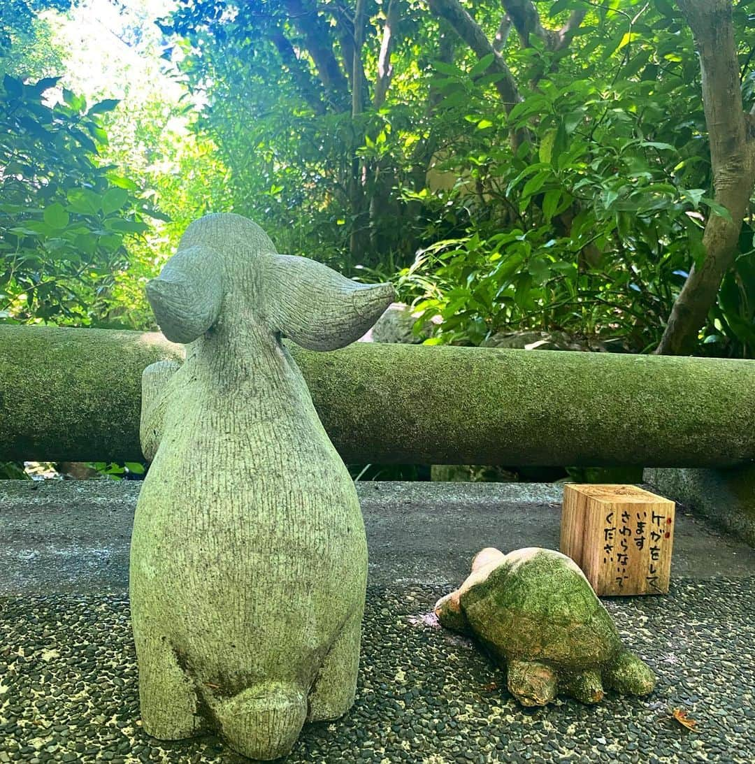 中崎絵梨奈さんのインスタグラム写真 - (中崎絵梨奈Instagram)「「明月院」  夏の思い出。夏は苦手だけど木漏れ日と蝉の鳴き声が混ざり合った場所はとてもすき。（最後の動画で感じて〜😳）  お寺という空間もタイムスリップしたみたいでなんだかとても好きで、心安らぐ時間でした☺︎  2枚目は方丈内にある円窓で #悟りの窓 って言われてるらしい。 夏に覗ける庭園もすごく素敵だったけど秋にもう一度行きたくなった🍁  #鎌倉　#北鎌倉　#明月院　#鎌倉さんぱ　#夏　#夏の思い出 #日本の景色　#日本の風景」9月20日 18時49分 - nakazaki_erina