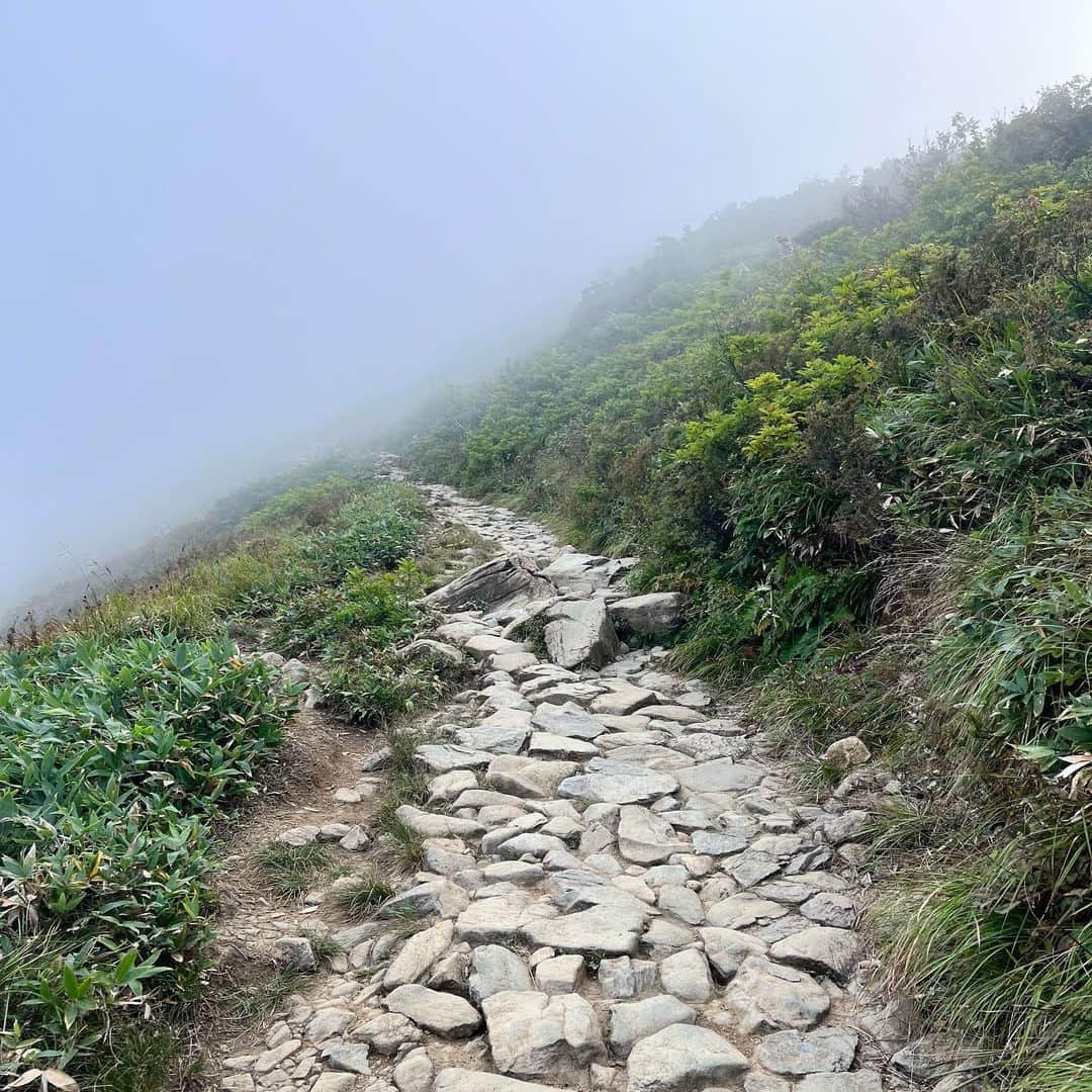 クリス智子さんのインスタグラム写真 - (クリス智子Instagram)「ゴンドラを乗り継ぎ乗り継ぎ、 山の景色を吸う。秋の色になり始めていた。 稲穂🌾も輝きっぱなし。 自然よ、ありがとー！  #白馬」9月21日 10時34分 - chris_tomoko