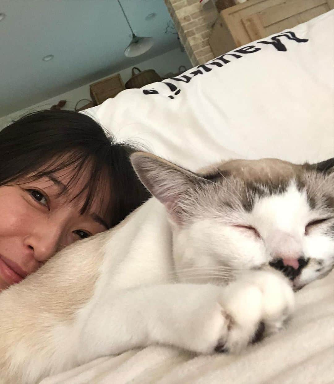 小野真弓さんのインスタグラム写真 - (小野真弓Instagram)「こんにちわわ🐾  いいものプレミアムの収録へ☺️ いつも可愛い💘いつも優しい、 ゆうこお姉さんと📸✨(*´∇｀*) お会いするたびにいつも、 うちにいる保護動物たちのことを、 気にかけてくださいます🥺✨ @yuko_kanzaki_official  おうちに帰ると、 こぞって皆んなが癒しに来てくれる☺️ 🦝🐏🐯🐯🐼 みんな優しいにゃわん❤️  🐈‍⬛🐻‍❄️🐨🐻🍼 預かり中の、 ママにゃん黒猫くーちゃんには〜 まだ全く信用されてにゃいので😂  すこーしづつで良いから、、 大丈夫だよ🥺 って、伝わるといいにゃ😆🐾  #チワワ#ハナちゃん #チワマル#ハルくん #雑種猫兄妹#アオくん#ナナちゃん #ほぼうちの子#ちりんくん 🐾 #預かり猫 #親子猫#元野良#げきおこ猫#鼻ちゅーる #黒猫#くーちゃん #仔猫#9月14日産まれ #ゆきみちゃん#だいくん#ふくくん」9月21日 17時01分 - hanaharuaroi