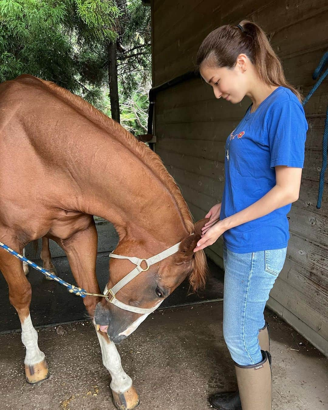 戸田れいさんのインスタグラム写真 - (戸田れいInstagram)「ヨモ🐴♥️  ここにくる時はいつもすっぴんだしボサボサ頭だしボロボロな格好だからあんまり写真撮らないんだけど、せっかく撮ってもらったから載せちゃう🤤笑  1st写真集でもヨモに乗ってるよ🐴 チェックしてね😚  #乗馬」9月21日 20時41分 - rei_toda