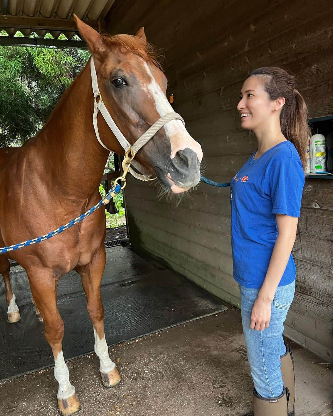 戸田れいさんのインスタグラム写真 - (戸田れいInstagram)「ヨモ🐴♥️  ここにくる時はいつもすっぴんだしボサボサ頭だしボロボロな格好だからあんまり写真撮らないんだけど、せっかく撮ってもらったから載せちゃう🤤笑  1st写真集でもヨモに乗ってるよ🐴 チェックしてね😚  #乗馬」9月21日 20時41分 - rei_toda