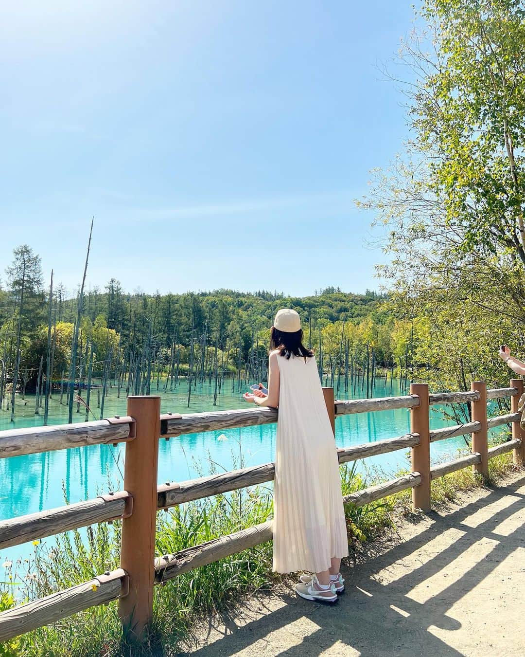 下田奈奈さんのインスタグラム写真 - (下田奈奈Instagram)「* 少し遅めの夏休みをいただき北海道へ行ってきました✈️  修学旅行ぶりの北海道は、札幌を中心に旭川･美瑛→小樽→ニセコ→洞爺湖→定山渓などを巡りました🚙 しばし旅の記録にお付き合いください✍🏻  まずは、ずっと本物を見てみたかった白金青い池 🫧  この青さすごいですよね…🫢🌿 想像していた以上に綺麗なブルーで ずっと見ていられる美しさでした👏🏻✨  後半は台風の影響で雨の日が多かったのですが 初日は晴天で綺麗な青い池が見れてラッキーでした✌🏻  #白金青い池 #白金青池 #青い池 #青い池美瑛 #美瑛町 #美瑛観光 #北海道旅行 #北海道観光 #北海道観光スポット #北海道旅行✈️ #北海道の自然 #美瑛観光」9月21日 23時06分 - shimodanana