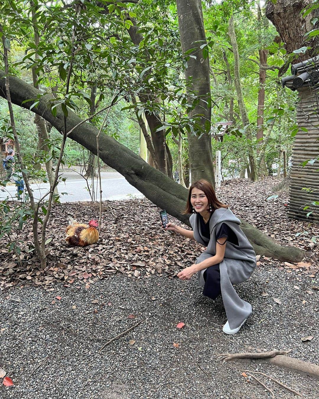坂元美香さんのインスタグラム写真 - (坂元美香Instagram)「おはよー  熱田神宮のつづき @atsutajingu.official   お昼は境内にある宮きしめんをいただきました。 美味しかった〜😙 外で温かいきしめん食べるのは暑いかと思いきや 緑に囲まれてて心地よく食すことができました。  あまりにも居心地よくて、宮まんじゅうと アイスカフェラテも買ってきて のんびりしちゃった😌  お昼のあとは、その横にある草薙館（有料）で 展示されている刀剣を見学。 実物の日本刀や、実際の長さと重量で製作された 真柄太刀二口の重さを体験。 コツがあるのかと思ったけど、 重すぎてまったく持ち上がらず😅  帰りは神鶏様がいたので ちょっとおしゃべりして写真撮って🐓 熱田神宮を後にしたのでした。  良いところだった😌✨ 行ってよかった。  熱田神宮の旅おわり。  #熱田神宮 #宮きしめん #宮まんじゅう #神鶏様」9月22日 6時16分 - mika_saka