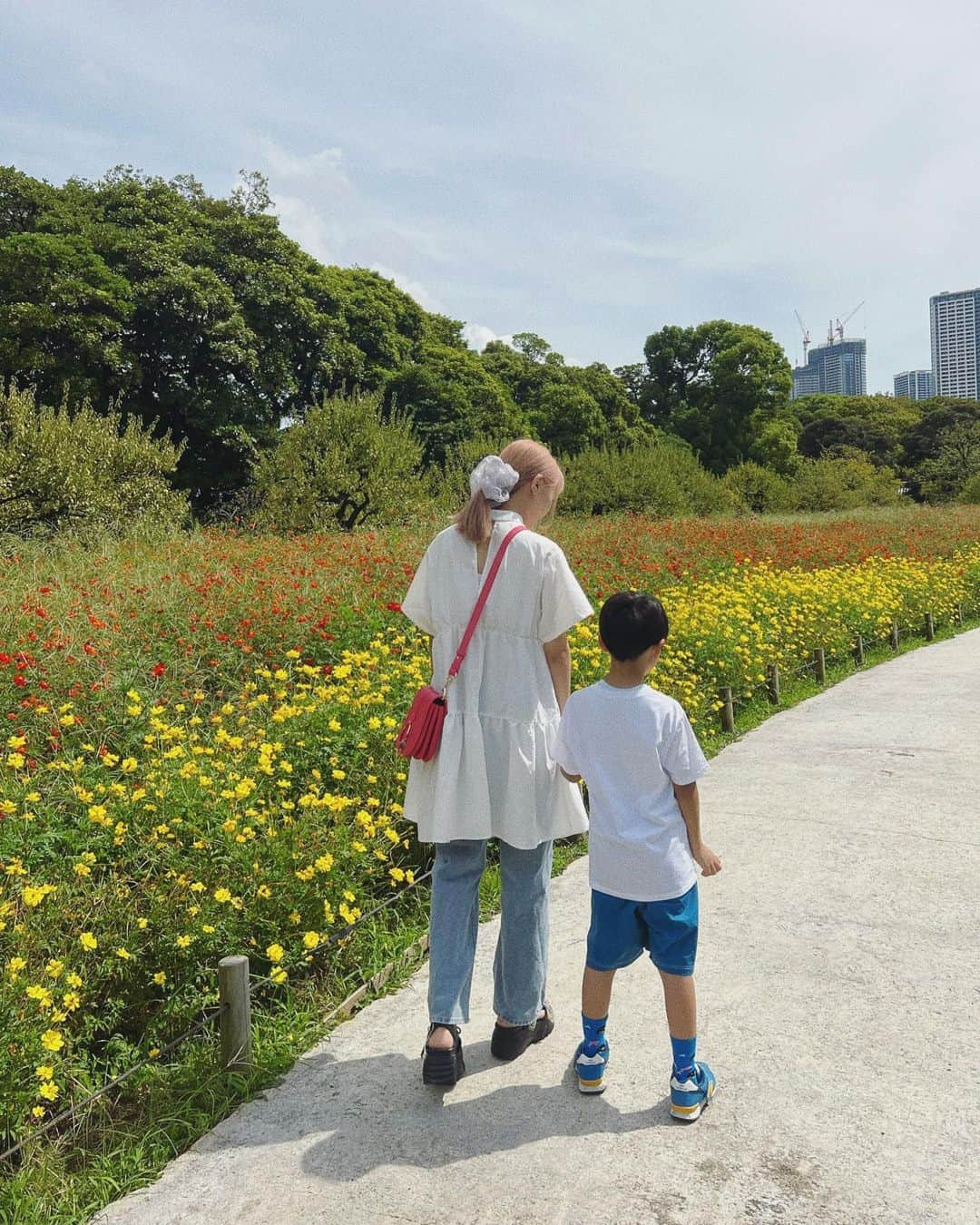 秋山衣梨佳さんのインスタグラム写真 - (秋山衣梨佳Instagram)「#cosmos 🌼」9月22日 12時10分 - akiyamaerika