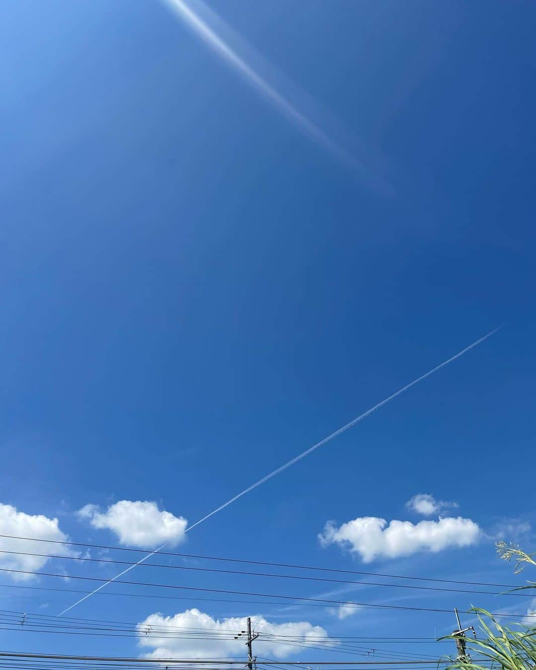 MIYUさんのインスタグラム写真 - (MIYUInstagram)「天気がよかった💚📸‪☀️ 明日もがんばろう🫶🏻」9月22日 21時09分 - _miyu68_