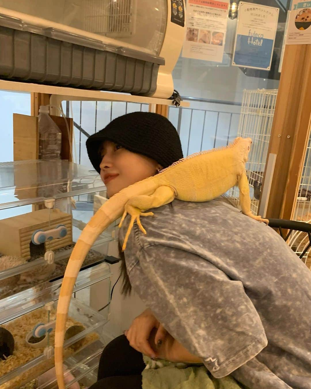 ももさんのインスタグラム写真 - (ももInstagram)「🦎💕」9月22日 22時41分 - momo