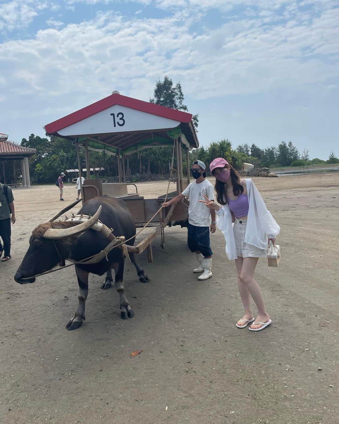 牧野結美さんのインスタグラム写真 - (牧野結美Instagram)「石垣島🌺Day② 離島巡り  八重山諸島をいくつか巡りたかったので ツアーを申し込みました♡ どれか1つの島だけなら 個人で行くのもいいと思います❣️  7:40 ホテルにバスがお迎えにきてくれるので 離島ターミナルまで🚌 そこから1時間弱くらい船にのって西表島へ🐈 小さな船に乗り換えてマングローブを見ました♡ ※酔い止め必須です！！！  11:00 水牛車に乗って、由布島に渡ります🐮 水牛さんが、台車と人間を合わせて 2トンもの重さを引っ張ってくれました🏝  12:00 ランチを済ませて、 植物園になっている由布島を観光しました♡ 亜熱帯の植物やガジュマルの木を眺めました🌳  13:40 船に乗って竹富島へ⛴ 竹富島ではレンタサイクルで島を一周しました🚴‍♀️ コンドイビーチを見て、 「HaaYa nagomi-cafe」にて紅芋パフェと 島バナナジュースでエネルギーチャージ💜  17:00 石垣島へ船で戻ってきて、いったんホテルへ  18:00 「いちばんざぁ」という ANAインターコンチネンタルホテルの 目の前にある居酒屋さんへ🏮 お蕎麦のようにツユにつけて食べる もずくがとっても美味しかったです♡  20:00 沖縄限定のポテチとかっぱえびせんを買って ホテルでゆっくり☺️  #石垣島 #石垣島旅行 #anaインターコンチネンタル石垣リゾート #石垣島観光 #石垣島ホテル #石垣島グルメ #南国リゾート #夏休みの過ごし方 #遅めの夏休み #夫婦旅 #八重山諸島 #西表島 #竹富島 #竹富島グルメ #マングローブ #由布島 #八重山諸島めぐり」9月23日 17時13分 - yumi_makino_