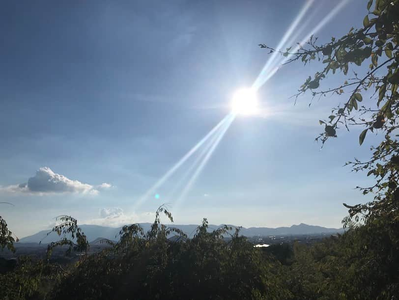 土屋太鳳さんのインスタグラム写真 - (土屋太鳳Instagram)「急に秋が来ましたね！ 秋を通り越して 冬のような気温になった地域も💦 でも湿度が高いので動くと暑い😣… これから少し慌ただしくなるので その前にと思って掃除をしたのですが、 そうすると今度は暑くなってしまって困りました💦 体温調整が難しい時期、 どうか気を付けて下さい🙏💦 . この景色は、 ２０１９年の奈良の空。 ウサギとして生きていた最初の頃、 撮休を利用して 当時のマネージャーさんと訪れた時の写真です✨ . あの頃は「今際の国」の感覚がつかめなくて 地方ロケ中の滞在場所を ホテルではなく、 自炊できるウィークリーマンションにしていました。 実は他の作品でも 私はよくウィークリーマンションに滞在します。 体型をコントロールしたい時や 役の環境がホテルっぽくない時など その理由は作品によって違うのですが、 この時は孤独感を痛感したいためでした。 でもなかなか掴めなくて…😣 迷っている時、 ずっとずっと行きたかった憧れの奈良を訪ねました。 . 凄かったなぁ… その土地、山、木、空とか光とかに すごくパワーを感じるあの感覚。 そのぶん撮休の一日ではとてもとても足りなくて、 いつか絶対ゆっくりじっくり滞在して 空気も光も食べるものも水も 奈良のすべてを味わいたい！と 決意して３年。 まだその夢は叶えられていないけれど、 一足先に私の心をメッセージとして 憧れの奈良に送ることが出来ました✨ . １７日から２４日（明日）まで開催されている #なら国際映画祭 に 応援メッセージを送らせていただいてます🎥💐✨ . 奈良の平城遷都1300年目となる2010年、 映画作家の #河瀬直美 さんを エグゼクティブディレクターに迎えて始まったのが 「なら国際映画祭」。 開催は、２年に一度です。 . 映画祭の企画運営の他にも、 国内外の若手監督と一緒に 奈良を舞台とした映画制作や こども・海外学生とのワークショップ、 奈良市内を移動する映画館「ならシネマテーク」など 映画の魅力を伝える 数々のプロジェクトを実施しているとのこと💡✨ . その素敵な一週間が明日、 私の心を救ってくれた映画『あん』の上映後、 クロージングセレモニーを迎えます。 ああ、本当に…本当に行きたかった…！！！！！ . 『あん』に出会った時の衝撃は 今も忘れられません。 作品との出会いで心が息を吹き返した瞬間を 観る側として実感したからこそ、 至らなくても届かなくても 演技の世界を少しずつでも 歩いてくることが出来たのだと思います。 . 閉幕と書くと終わる意識が強いけれど 次の開催に向けてのスタートでもあると思うから、 その始まりを祝う気持ちも含めて 奈良の空気に思いを馳せたいと思います🌿✨✨」9月23日 23時42分 - taotsuchiya_official