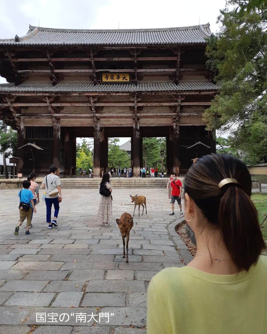 黒坂真美さんのインスタグラム写真 - (黒坂真美Instagram)「“Nara Trip”🦌 . 台風に負けず 奈良旅行に行ってきました🤎 . 奈良の人は とっても穏やかで優しい。 時間の流れもゆっくりで また癒されに行きたい とても素敵な場所でした！ . #黒坂真美 #kurosakamami  #trip #nara #japan #旅行 #奈良 #日本  #世界文化遺産 #国宝 #東大寺 #大仏 #鹿 #茶粥 #🇯🇵 #🦌」9月24日 22時09分 - mamikurosaka_official