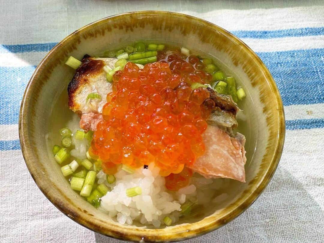 三浦瑠麗さんのインスタグラム写真 - (三浦瑠麗Instagram)「朝ごはんシリーズ。 きのうは雉鍋の残りで雉ごはん、ささみ、白味噌と長葱、豆腐、お揚げさんのおみおつけ。 今朝はきのうの残りものに、夜中に作ったローストビーフを少々と、鮭茶漬け。」9月25日 10時10分 - lullymiura
