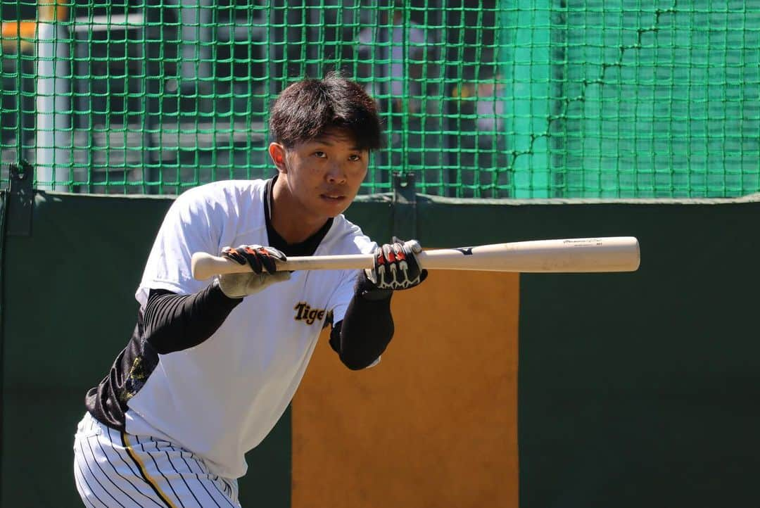 阪神タイガースさんのインスタグラム写真 - (阪神タイガースInstagram)「9月25日、甲子園球場での練習の様子です！ #髙寺望夢 選手 #植田海 選手 #中野拓夢 選手 #陽川尚将 選手 #長坂拳弥 選手 #島田海吏 選手 #小幡竜平 選手 #佐藤輝明 選手 #加治屋蓮 選手 #浜地真澄 選手 #岩貞祐太 選手 #阪神タイガース  #イチにカケル！」9月25日 14時17分 - hanshintigers_official