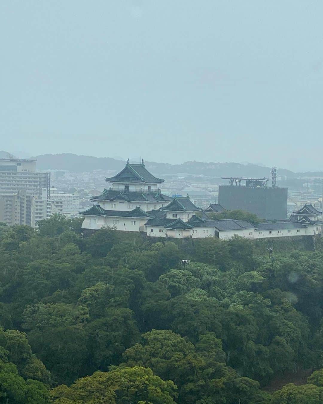高嶋ちさ子さんのインスタグラム写真 - (高嶋ちさ子Instagram)「雨の和歌山城と大阪の焼肉  和歌山の皆様盛り上げていただきありがとうございました😊 雨の中本当にありがとうございます また来ます！ 我々はあのあとこんなもん食っとりました めちゃくちゃ美味しかったです」9月25日 17時34分 - chisakotakashima