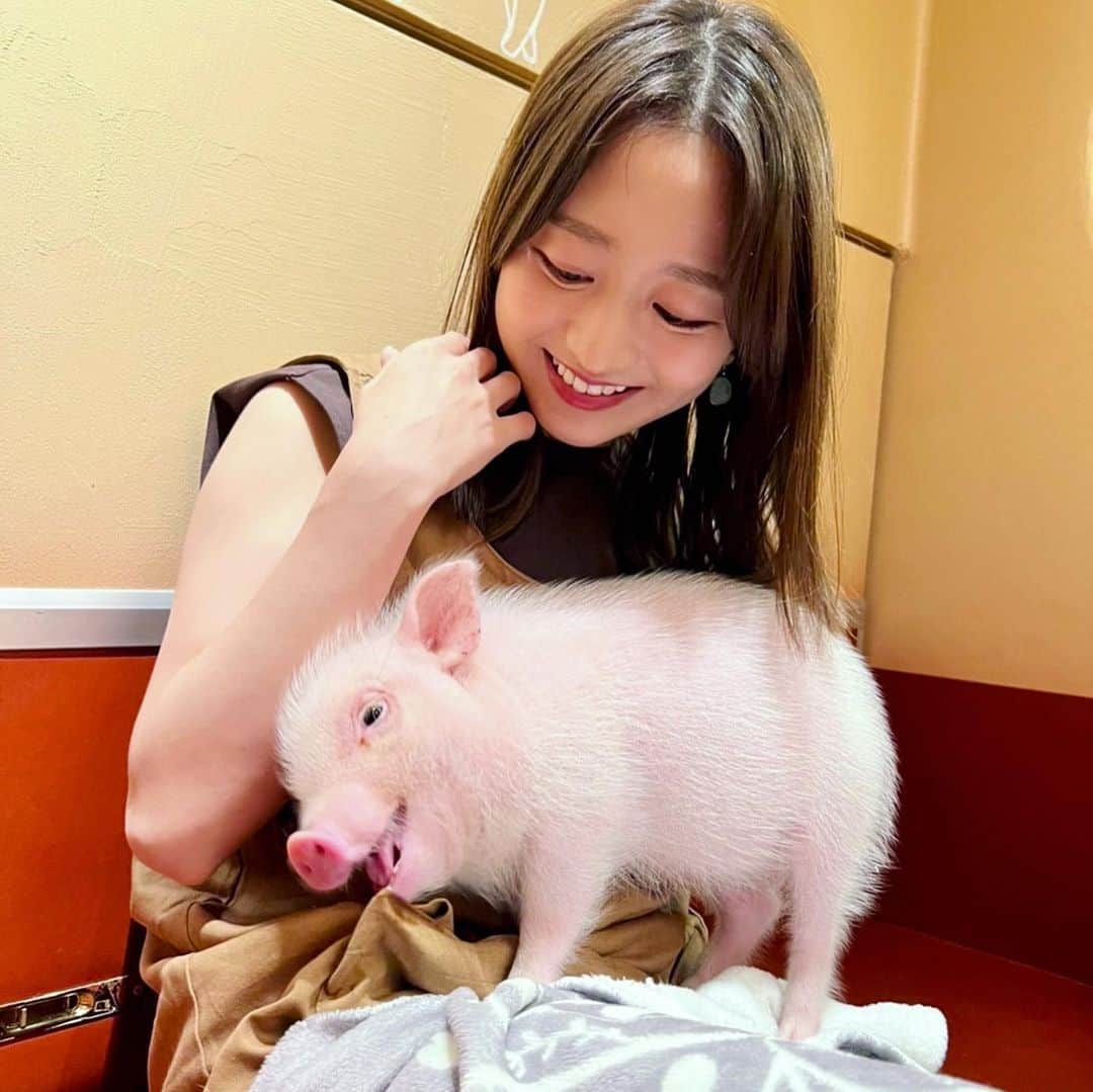 片渕茜さんのインスタグラム写真 - (片渕茜Instagram)「先日友達とこぶたカフェに行きました🐖 定期的に会いたくなるこぶたちゃん… こぶたちゃんが、少し笑っているようにも見えませんか？ しまいには膝で眠っていました。  #こぶたカフェ #マイクロブタ #こぶた」9月25日 19時00分 - akane_katafuchi