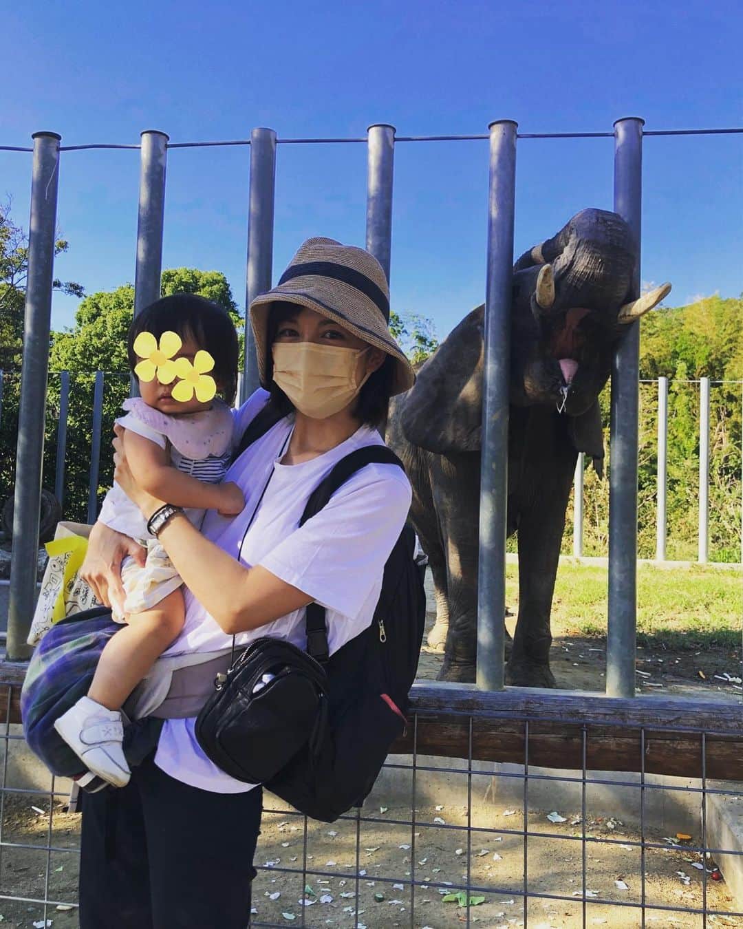 中野美奈子さんのインスタグラム写真 - (中野美奈子Instagram)「お久しぶりのしろとり動物園🐘  知らない間に、園内のスペースが広がっていた！！よってキリンまでの坂道で母バテました😭  動物園デビューの娘、ヒヨコに夢中🐤 そういえば、その昔お祭りで買ったヒヨコがニワトリになり、コケコッコーと毎朝鳴くのでプーキーに相談したら、快く引き取ってくれました。  そういえば、プーキーもリニューアルしてますよ。 うどん県民の方はこの話わかるかな！？  3連休お疲れ様でした。 ほんとに本当にお疲れ様でした。 はよ寝ます💤  #しろとり動物園  #動物園デビュー #えさやり体験  #動物ふれあい   #年賀状用にうさぎとも写真 #もう年賀状  #ヒヨコ #最近はお祭りで見ないよね  #赤ちゃんのいる生活  #中野美奈子」9月25日 21時31分 - minako_nakano.official