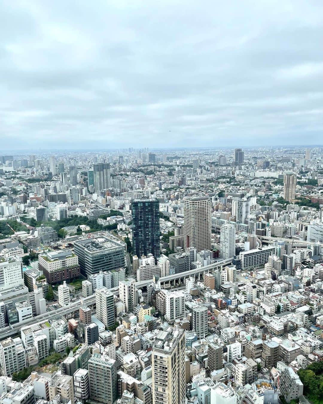 村主章枝さんのインスタグラム写真 - (村主章枝Instagram)「Tokyo has a lots of buildings. 東京って建物が多い😳 #tokyotower  #東京タワー」9月25日 21時40分 - fumie.suguri