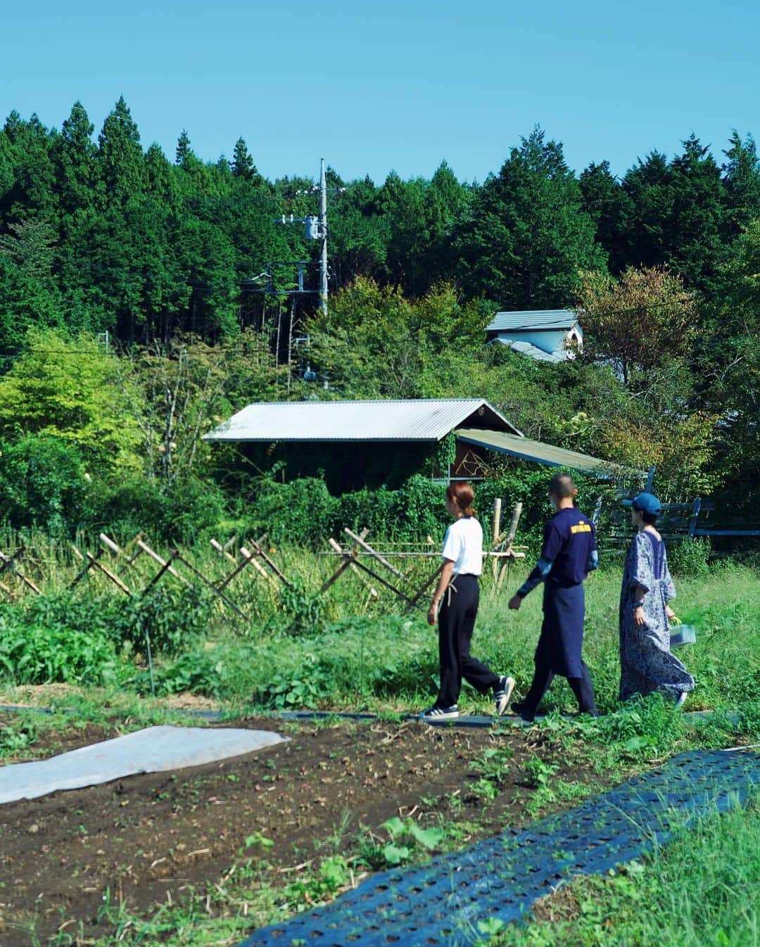 高山都さんのインスタグラム写真 - (高山都Instagram)「連休最終日は茨城県は笠間市の笠間クラインガルテンへ。 そこに、友人の浅野美奈弥ちゃん @minami_asano が手がける @takemefarm がオープンしたので行ってきました。 農園で野菜を収穫したり🫑栗拾いしたり🌰土と植物と食物がとっても近く、作り手さんの愛と情熱が感じられる場所です。 採れたての無農薬ピーマンのジューシーで美味しいこと！ 畑でも、その場でかじり、旨い！感動！ BBQ中もソーセージのお供に生でポリポリ。 レストランの中では @minayainc の定食やカレーも食べられたり、オススメの調味料や道具を買えたり、とにかくワクワクがおさまらない場所でした。 みなみちゃん達が夏の間せっせと自分達で手がけたお店は、とても温かくアットホームな雰囲気。 泊まれる施設もあるから、今度はみんなでワイワイと一泊したいねーなんて帰りの車中で話したのでした。 夫は美味しいみかんジュースでニコニコしてた🍊 ワタシは楽しいワインで帰りの車中夢の中。 あーー、また、素敵な遊び場に出会ってしまった😉🥹🌈✨  たくさん質問が来たワンピースは @pasand_by_nequittezpas です。  それにしても、目標に向かって行動し、ちゃんとカタチにしてるみなみちゃんの生き方はとてもカッコいいし、キラキラしてて美しかった。 みなみちゃん、笠間に素敵なお店！おめでとう！！」9月25日 22時48分 - miyare38