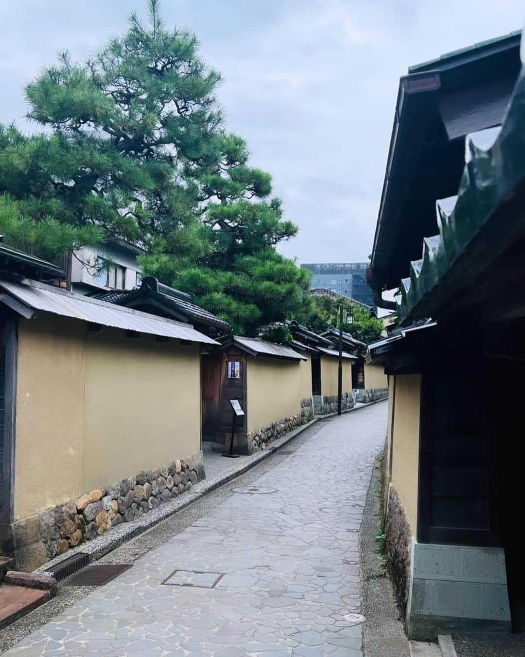 愛川みれいさんのインスタグラム写真 - (愛川みれいInstagram)「in kanazawa 🏯  歳を重ねるにつれて 地元の伝統文化や歴史に興味を持つようになりました🌱  離れてみて気付く事って沢山ある。  14年前、上京を決意した事も 何周も周って地元の良さに気付けた事も  今後の未来において必要不可欠だったと思います✨  楽しみ♥️楽しみ  #石川県#金沢#兼六園#武家屋敷 #地元#伝統#歴史#愛川みれい」9月26日 11時39分 - mirei.aikawa