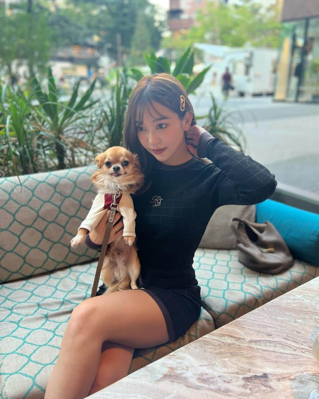 COCOさんのインスタグラム写真 - (COCOInstagram)「愛犬と入れるテラスのある素敵なお店を見つけました🐕 お酒も飲めちゃう🥂✨ 夕方は涼しくなってきて過ごしやすいですね☺️🍁」9月26日 17時25分 - coco_coco000