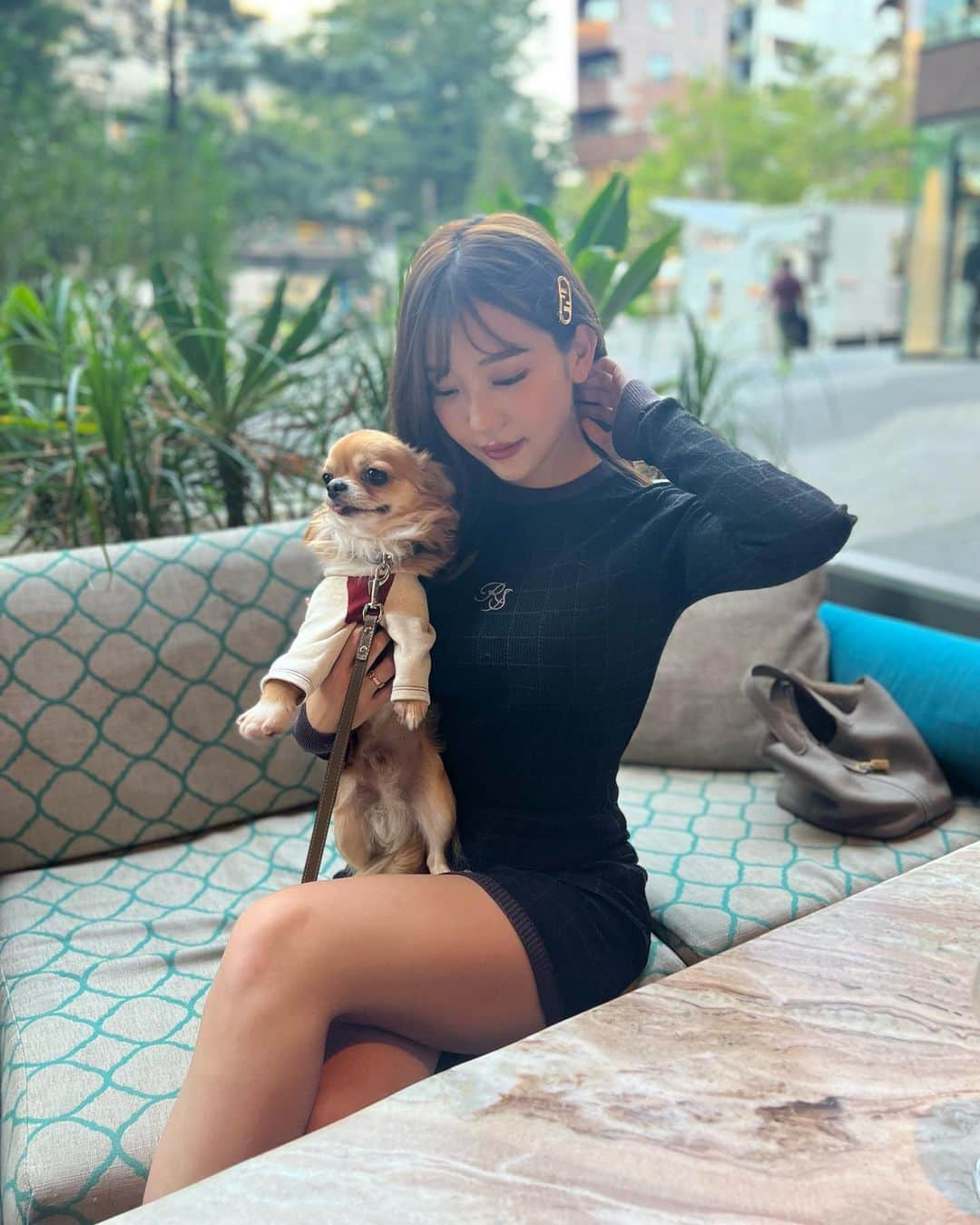 COCOさんのインスタグラム写真 - (COCOInstagram)「愛犬と入れるテラスのある素敵なお店を見つけました🐕 お酒も飲めちゃう🥂✨ 夕方は涼しくなってきて過ごしやすいですね☺️🍁」9月26日 17時25分 - coco_coco000