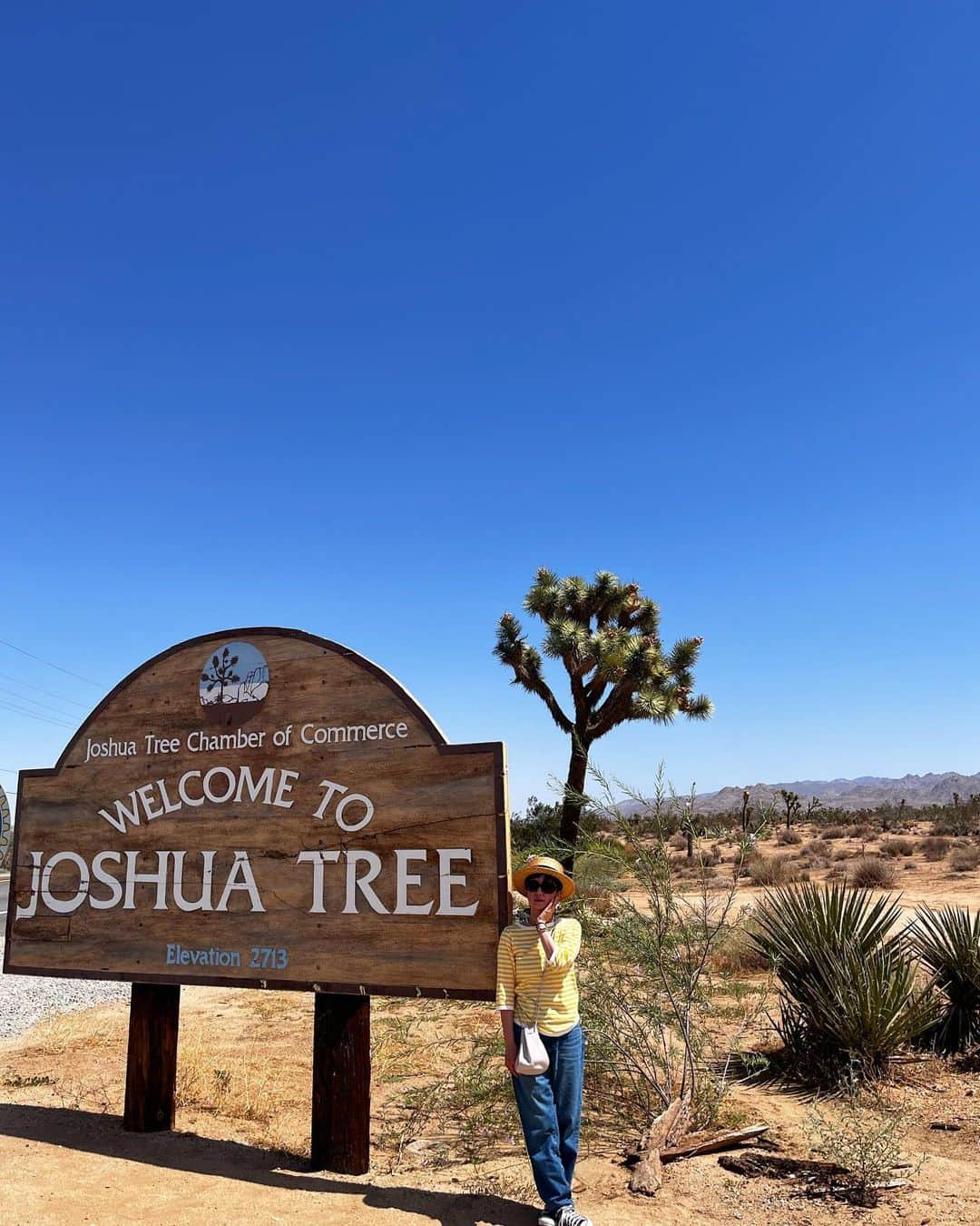 千秋さんのインスタグラム写真 - (千秋Instagram)「カリフォルニア州のジョシュアツリーという街は、ラブ&ピースなヒッピー文化が色濃い街。 その昔、ゴールドラッシュの時代に東から西へ新たな地を求めて移動してくるモルモン教徒の開拓者達が、後から来る仲間が迷わないように、このジョショアツリーを植えて目印にしたと言われています。 そのジョシュアツリーが世界で1番群生しているこの街は空気が澄んでてとっても気持ちがいいのです🌲✨  パイオニアタウンにある有名なこのレストランはポールマッカートニーがLiveを行ったことでも有名です🍴 それにしてもわたしは常にアーノルドパーマーを飲んでいるネ🍹🍋  全ツアーはネバダ観光 @lasvegasnevadakankoservice と組んでいます。お問い合わせはそちらへ📧   #アメリカ旅行 #メキシコ旅行 #ネバダ観光 #千秋旅日記」9月27日 12時00分 - chiaki77777