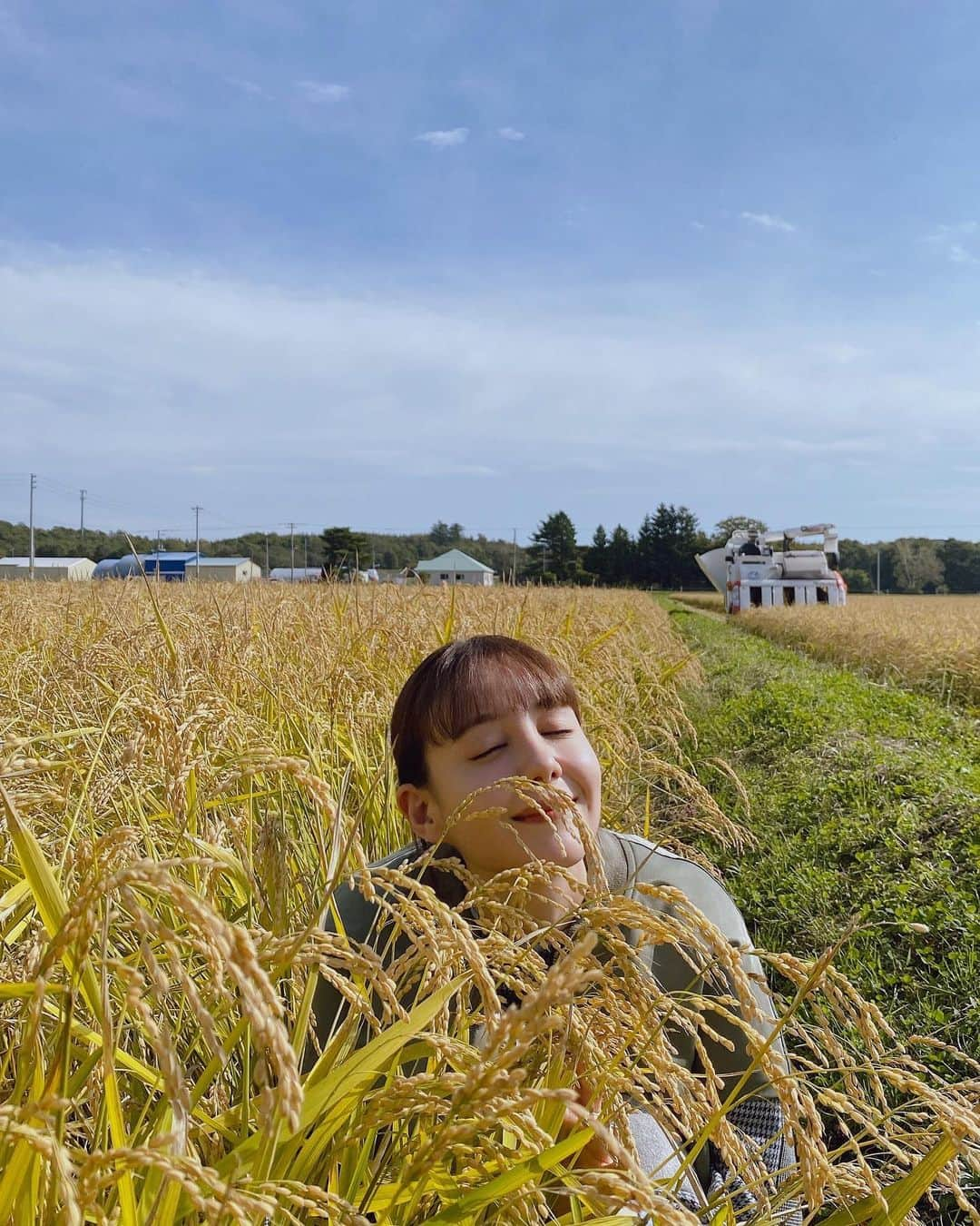 トリンドル玲奈さんのインスタグラム写真 - (トリンドル玲奈Instagram)「@uhb_marude_triendl の収録で北海道に来てますー🌾  北海道のお米のおいしさったら、、❤︎ほっぺた落ちました。  自然が豊かで空気がおいしくて最高の北海道。(いま移動中には鹿に会いました🦌)  北海道のおいしいものをたくさんお届けする番組「それはまるでトリンドルな一日でした」、ぜひご覧くださいね❤︎  インスタのアカウントは、　@uhb_marude_triendl です😉これから色々とアップされると思うので、ぜひフォローお願いします!  #ゆめぴりか  #ななつぼし」9月28日 17時40分 - toritori0123