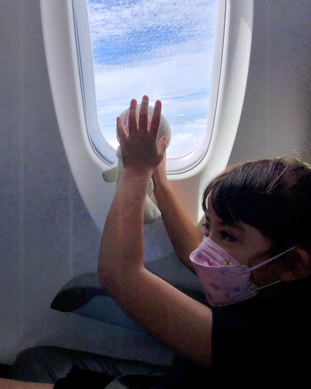 舟橋菜々さんのインスタグラム写真 - (舟橋菜々Instagram)「物凄く久しぶりの飛行機✈️✨ さて、どこに行ったでしょうか😁💡 近々楽しいお知らせが出来ると思うので、また詳しくは投稿しますね👐🏻✨  ①…ウサギもしっかりシートベルト❗️ ②…飛行機を怖がるウサギをなだめるか丸🐇 ③…安全のしおりを熟読🧐 ④…ウサギに空を見せてあげるか丸🌤 ⑤…ノリノリフライト✈️ #airplane#sky#trip#kids#bunny#buddy#happy#smile#love#飛行機#空#シートベルト#うさぎ#子供#旅#育児#子育て#さて#どこへいったでしょうか#ヒント#国内#名古屋から一時間かからない#自然#美食」9月28日 21時38分 - wombatnana