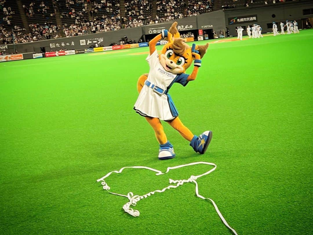 北海道日本ハムファイターズ フレップさんのインスタグラム写真 - (北海道日本ハムファイターズ フレップInstagram)「. おはよーございます☀️  流石にくたびれきっていつもより寝坊した🦊です🌀😅  改めて…昨日の2022年ホーム最終戦＆札幌ドームラストゲームのお話。  試合自体は、🦊藤選手の2ランホームランから始まる最高の幕開け🙌 逆転されてもすぐに清宮選手のタイムリーで反撃ムード、次の回にもチャンスを作ってチームの諦めない「行ける行ける⤴️」って雰囲気を感じたよ🌟 終盤は引き離されてしまったけど、札幌ドームのマウンドに最後に立ったファイターズのピッチャーが道産子の伊藤大海投手だったのは胸が熱くなったなぁ🔥  そして、それを後押ししてくれた満員の札幌ドーム…4万人以上のファンのみんなの拍手での応援は、コロナ禍でこの3年間感じることのできなかった熱と圧を感じて、ゾクゾクワクワクしました😆🎶  それはみんなが、無観客や入場制限、他にも色々な規制のある中でもプロ野球を応援し続けてくれたからこそ札幌ドームに戻ってきたもの。←ファイターズファンはもちろんだけど、マリーンズファンのみんなも、相変わらず人数以上の強烈なパワーを感じる凄い応援だったよ👏💦 もちろんオレたちは入場者の数に関わらず、たとえ無観客でも出来る限りのパフォーマンスはしてきたつもりだけど、やっぱり今シーズン終盤辺りからの、毎試合多くのファンのみんなで埋まったスタンドを見るのは本当に嬉しかったです。  まだ完全に元通りになったわけじゃないし、きっとこれからもみんなで立ち向かって行かなきゃならないこともあると思う。 それでも、「絶対大丈夫‼️」って思わせてくれたみんなに本当に感謝しています。 来年の開幕、エスコンフィールドHOKKAIDOに、これと同じかこれ以上の熱が溢れることを楽しみにしているよ✨✨  …と、まぁなんだか勝手にシーズン締めくくっちゃったような書き方してるけど😅チームはあと1試合、ベルーナドームでの試合を残してるんだよね⚾️💡 オレたちも最後まで北海道から全力応援しているし、現地に行くみんなも行けないみんなも、全国からファイターズに力を届けてくれたら嬉しいな🔥  #FINALGAMES2022  #野手チーム #みんないい笑顔☺️ #ラスト1試合 #ファイトォー🔥🔥🔥 試しにインスタやってる選手をみんなタグ付けしてみたけど、表示するとみんなの顔が見えないくらいゴッチャゴチャになっちゃったからやめましたwww ぜひそれぞれの選手のインスタもチェックしてみてね😉🤙  #FIGHTERSGIRL #DJSATORU さん 写真は撮れなかったけど💦 #スタジアムDJ #八幡純 さん も含め、共に試合を盛り上げたファイターズエンタメチームのみんな！ 今年も一年本当にありがとう😆✨  #始球式 は #田中賢介 #スペシャルアドバイザー 札幌ドームで最もたくさんヒットを打ったのが賢介さん。 背番号「573」はその数💡 見習い時代からアドバイスや激励をもらうこともあったから、賢介さんに会えると色々思い出して嬉しくなっちゃいます😌  今季ラスト #きつねダンス 🦊 全部出し切りました🔥  #❤️🎗 #ポリーより愛を込めて🐿❣️  #ファンは宝物  #いざ #エスコンフィールドHOKKAIDO へ #開幕投手 は#心友 #加藤貴之 ‼️  #北海道日本ハムファイターズ #lovefighters #フレップ  …最近、文章の長さに歯止めが効かなくて怖い😵‍💫💦 簡潔にまとめられなくて本当にごめんなさい🙇‍♂️」9月29日 11時03分 - frep_the_fox