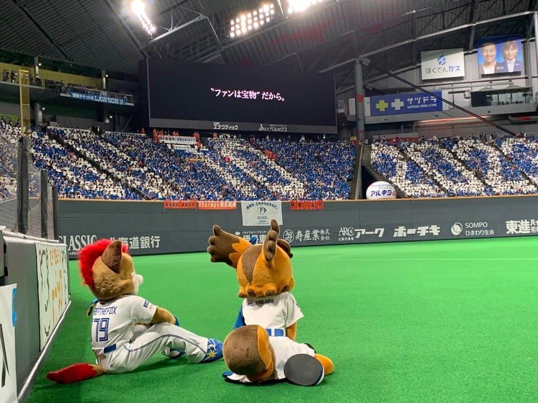 北海道日本ハムファイターズ フレップさんのインスタグラム写真 - (北海道日本ハムファイターズ フレップInstagram)「. おはよーございます☀️  流石にくたびれきっていつもより寝坊した🦊です🌀😅  改めて…昨日の2022年ホーム最終戦＆札幌ドームラストゲームのお話。  試合自体は、🦊藤選手の2ランホームランから始まる最高の幕開け🙌 逆転されてもすぐに清宮選手のタイムリーで反撃ムード、次の回にもチャンスを作ってチームの諦めない「行ける行ける⤴️」って雰囲気を感じたよ🌟 終盤は引き離されてしまったけど、札幌ドームのマウンドに最後に立ったファイターズのピッチャーが道産子の伊藤大海投手だったのは胸が熱くなったなぁ🔥  そして、それを後押ししてくれた満員の札幌ドーム…4万人以上のファンのみんなの拍手での応援は、コロナ禍でこの3年間感じることのできなかった熱と圧を感じて、ゾクゾクワクワクしました😆🎶  それはみんなが、無観客や入場制限、他にも色々な規制のある中でもプロ野球を応援し続けてくれたからこそ札幌ドームに戻ってきたもの。←ファイターズファンはもちろんだけど、マリーンズファンのみんなも、相変わらず人数以上の強烈なパワーを感じる凄い応援だったよ👏💦 もちろんオレたちは入場者の数に関わらず、たとえ無観客でも出来る限りのパフォーマンスはしてきたつもりだけど、やっぱり今シーズン終盤辺りからの、毎試合多くのファンのみんなで埋まったスタンドを見るのは本当に嬉しかったです。  まだ完全に元通りになったわけじゃないし、きっとこれからもみんなで立ち向かって行かなきゃならないこともあると思う。 それでも、「絶対大丈夫‼️」って思わせてくれたみんなに本当に感謝しています。 来年の開幕、エスコンフィールドHOKKAIDOに、これと同じかこれ以上の熱が溢れることを楽しみにしているよ✨✨  …と、まぁなんだか勝手にシーズン締めくくっちゃったような書き方してるけど😅チームはあと1試合、ベルーナドームでの試合を残してるんだよね⚾️💡 オレたちも最後まで北海道から全力応援しているし、現地に行くみんなも行けないみんなも、全国からファイターズに力を届けてくれたら嬉しいな🔥  #FINALGAMES2022  #野手チーム #みんないい笑顔☺️ #ラスト1試合 #ファイトォー🔥🔥🔥 試しにインスタやってる選手をみんなタグ付けしてみたけど、表示するとみんなの顔が見えないくらいゴッチャゴチャになっちゃったからやめましたwww ぜひそれぞれの選手のインスタもチェックしてみてね😉🤙  #FIGHTERSGIRL #DJSATORU さん 写真は撮れなかったけど💦 #スタジアムDJ #八幡純 さん も含め、共に試合を盛り上げたファイターズエンタメチームのみんな！ 今年も一年本当にありがとう😆✨  #始球式 は #田中賢介 #スペシャルアドバイザー 札幌ドームで最もたくさんヒットを打ったのが賢介さん。 背番号「573」はその数💡 見習い時代からアドバイスや激励をもらうこともあったから、賢介さんに会えると色々思い出して嬉しくなっちゃいます😌  今季ラスト #きつねダンス 🦊 全部出し切りました🔥  #❤️🎗 #ポリーより愛を込めて🐿❣️  #ファンは宝物  #いざ #エスコンフィールドHOKKAIDO へ #開幕投手 は#心友 #加藤貴之 ‼️  #北海道日本ハムファイターズ #lovefighters #フレップ  …最近、文章の長さに歯止めが効かなくて怖い😵‍💫💦 簡潔にまとめられなくて本当にごめんなさい🙇‍♂️」9月29日 11時03分 - frep_the_fox