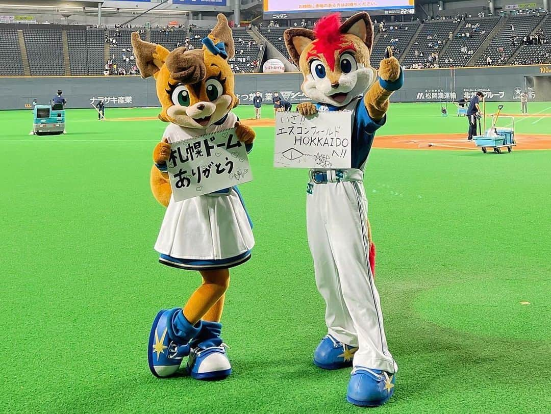 北海道日本ハムファイターズ フレップさんのインスタグラム写真 - (北海道日本ハムファイターズ フレップInstagram)「. おはよーございます☀️  流石にくたびれきっていつもより寝坊した🦊です🌀😅  改めて…昨日の2022年ホーム最終戦＆札幌ドームラストゲームのお話。  試合自体は、🦊藤選手の2ランホームランから始まる最高の幕開け🙌 逆転されてもすぐに清宮選手のタイムリーで反撃ムード、次の回にもチャンスを作ってチームの諦めない「行ける行ける⤴️」って雰囲気を感じたよ🌟 終盤は引き離されてしまったけど、札幌ドームのマウンドに最後に立ったファイターズのピッチャーが道産子の伊藤大海投手だったのは胸が熱くなったなぁ🔥  そして、それを後押ししてくれた満員の札幌ドーム…4万人以上のファンのみんなの拍手での応援は、コロナ禍でこの3年間感じることのできなかった熱と圧を感じて、ゾクゾクワクワクしました😆🎶  それはみんなが、無観客や入場制限、他にも色々な規制のある中でもプロ野球を応援し続けてくれたからこそ札幌ドームに戻ってきたもの。←ファイターズファンはもちろんだけど、マリーンズファンのみんなも、相変わらず人数以上の強烈なパワーを感じる凄い応援だったよ👏💦 もちろんオレたちは入場者の数に関わらず、たとえ無観客でも出来る限りのパフォーマンスはしてきたつもりだけど、やっぱり今シーズン終盤辺りからの、毎試合多くのファンのみんなで埋まったスタンドを見るのは本当に嬉しかったです。  まだ完全に元通りになったわけじゃないし、きっとこれからもみんなで立ち向かって行かなきゃならないこともあると思う。 それでも、「絶対大丈夫‼️」って思わせてくれたみんなに本当に感謝しています。 来年の開幕、エスコンフィールドHOKKAIDOに、これと同じかこれ以上の熱が溢れることを楽しみにしているよ✨✨  …と、まぁなんだか勝手にシーズン締めくくっちゃったような書き方してるけど😅チームはあと1試合、ベルーナドームでの試合を残してるんだよね⚾️💡 オレたちも最後まで北海道から全力応援しているし、現地に行くみんなも行けないみんなも、全国からファイターズに力を届けてくれたら嬉しいな🔥  #FINALGAMES2022  #野手チーム #みんないい笑顔☺️ #ラスト1試合 #ファイトォー🔥🔥🔥 試しにインスタやってる選手をみんなタグ付けしてみたけど、表示するとみんなの顔が見えないくらいゴッチャゴチャになっちゃったからやめましたwww ぜひそれぞれの選手のインスタもチェックしてみてね😉🤙  #FIGHTERSGIRL #DJSATORU さん 写真は撮れなかったけど💦 #スタジアムDJ #八幡純 さん も含め、共に試合を盛り上げたファイターズエンタメチームのみんな！ 今年も一年本当にありがとう😆✨  #始球式 は #田中賢介 #スペシャルアドバイザー 札幌ドームで最もたくさんヒットを打ったのが賢介さん。 背番号「573」はその数💡 見習い時代からアドバイスや激励をもらうこともあったから、賢介さんに会えると色々思い出して嬉しくなっちゃいます😌  今季ラスト #きつねダンス 🦊 全部出し切りました🔥  #❤️🎗 #ポリーより愛を込めて🐿❣️  #ファンは宝物  #いざ #エスコンフィールドHOKKAIDO へ #開幕投手 は#心友 #加藤貴之 ‼️  #北海道日本ハムファイターズ #lovefighters #フレップ  …最近、文章の長さに歯止めが効かなくて怖い😵‍💫💦 簡潔にまとめられなくて本当にごめんなさい🙇‍♂️」9月29日 11時03分 - frep_the_fox