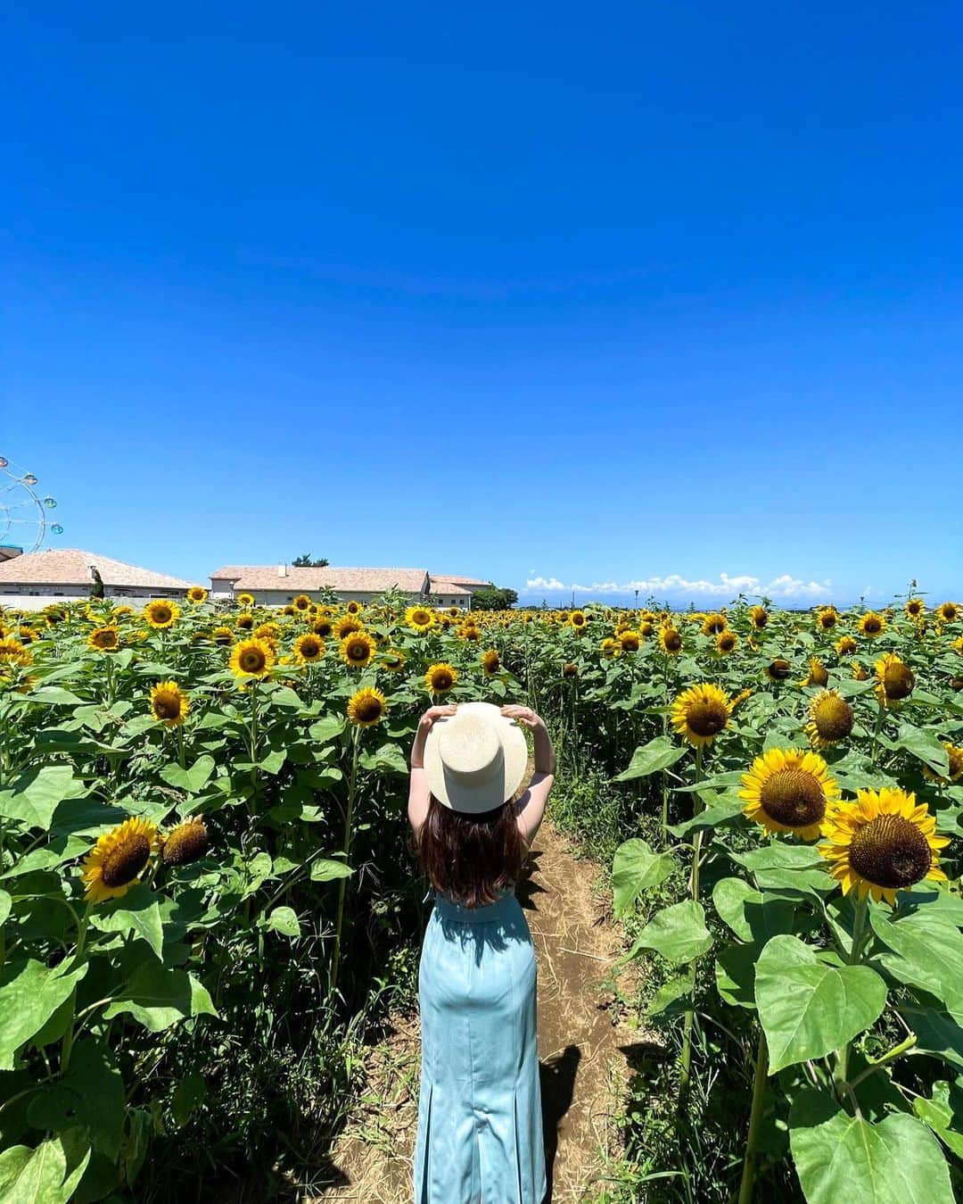伊藤奈月さんのインスタグラム写真 - (伊藤奈月Instagram)「⁡ ひまわり畑には 麦わら帽子が 定番アイテム👒🌻 ⁡ #カピバラが好き #ひまわり畑  #ひまわり」9月29日 22時17分 - naachan__