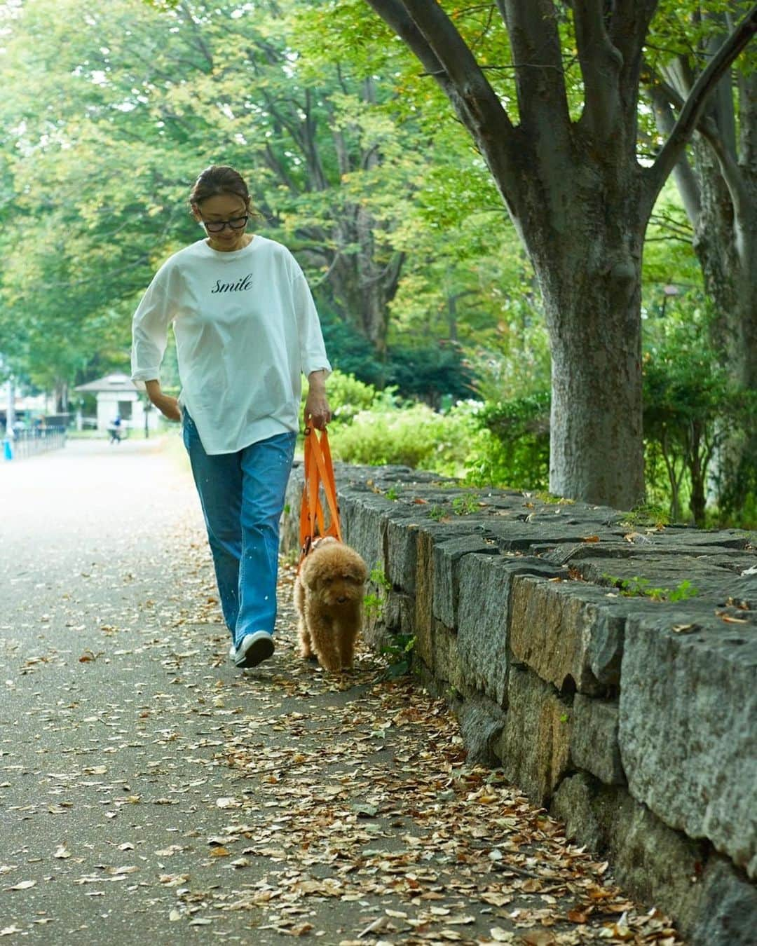 masakiさんのインスタグラム写真 - (masakiInstagram)「fri.30 Sep.2022 おはよう 前脚を痛めてちょっとお休みしていた散歩を再開！ いつも踏ん張る大事な大事な前脚。 かなり負担がかかっています。 お外に出ると調子にのって自分で段差もぴょん！ といけると思っちゃうのよね。 かーちゃん後ろ持ってるのにw 今日はカラっと秋晴れ 公園も落ち葉ですっかり秋の景色でした🍂  9月最終日だなんてびっくりだなオイ。」9月30日 14時21分 - mogurapicassowols