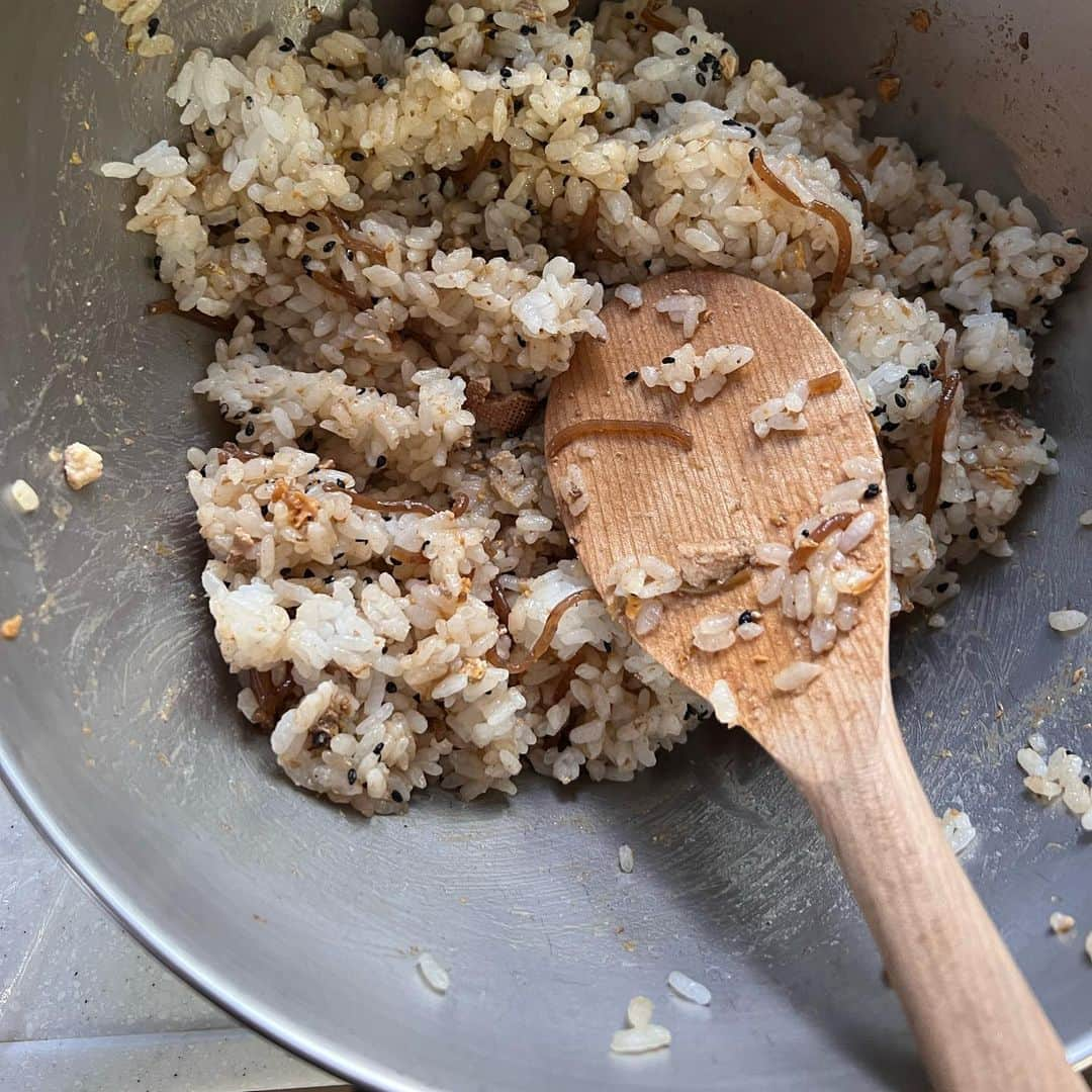 安田美沙子さんのインスタグラム写真 - (安田美沙子Instagram)「この度、世界食料デーキャンペーン「ごちそうさまチャレンジ」 アンバサダーに就任いたしました✨   食品ロスをゼロに近づける取組やごちそうさまポーズをSNSに　 #ごちそうさまチャレンジ  #ゼロハンガー　 を付けて投稿すると、120 円(学校給食 4 人分)が国連 WFP の学校給食支援に寄付されます。  この投稿のRT(#ごちそうさまチャレンジ、#ゼロハンガーを付ける)でも、1RT が 60 円の寄付されます。  皆さんもぜひ、チャレンジしてみてください！  最近、お客様に出したすき焼き アレンジしました🥘 まずは、息子のお弁当🤍  時間のない時に残りのすき焼きを卵とじにして、ご飯に乗せて手抜きお弁当✨  もうひとつは、水気を切って、 黒胡麻をまぜて、おにぎりに🍙  何でも捨てる前に考えるように☺️✨  国連WFPアカウント @jawfp_official   #ごちそうさまチャレンジ #ゼロハンガー #すき焼き #すき焼き丼 #お弁当 #おにぎり #すき焼き3段活用✨」9月30日 15時37分 - yasuda_misako