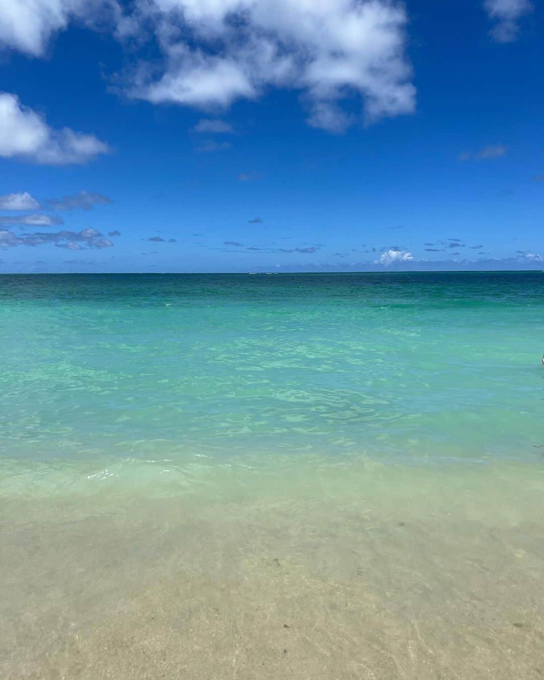 伊藤千晃さんのインスタグラム写真 - (伊藤千晃Instagram)「ハワイの写真を見返してたらこのキュッとなってる息子の手が可愛かった☺️💕 ⁡ あぁ、また海に行きたいなぁ🏖 ⁡ #思い出写真」10月1日 12時19分 - kikichiaki