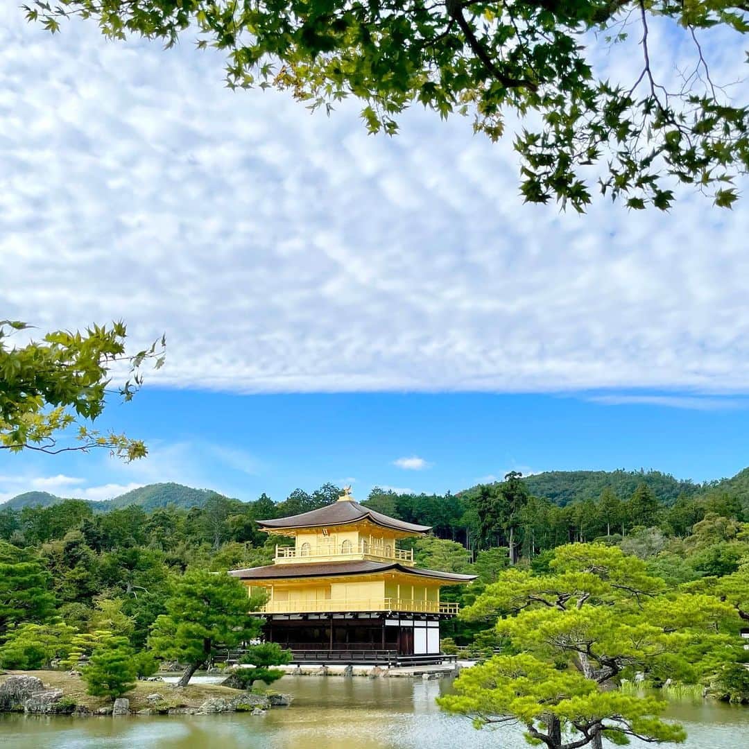 吉井明子さんのインスタグラム写真 - (吉井明子Instagram)「𓍯𓍯𓍯  京都の旅と空の記録。 金閣寺さんにて。 鹿苑寺の舎利殿・金閣の上空に雲と青空の境目が… 陰と陽を感じる美しい空の下、金色に輝いていました。  2022年9月21日  #金閣寺 #鹿苑寺 #舎利殿 #金閣 #kinkakujitemple #京都 #kyoto #japan #京都旅 #travel #travelphotography #trip #明さんぽ #気象予報士 #気象キャスター #weatherforecaster #기상캐스터　#氣象主播 #吉井明子」10月1日 14時15分 - akiko_yoshii_sunny_rain