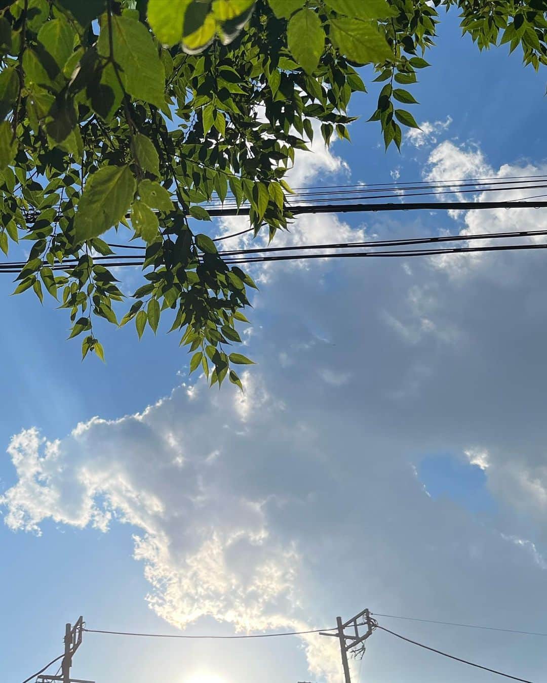 木村心美さんのインスタグラム写真 - (木村心美Instagram)「今日は気持ちの良い天気でした。 少し、練習で蓄積されたモヤモヤな気持ちを晴らしにお散歩へ。 ・  #毎日投稿11日目 ・ @diorbeauty のサンククルール アイシャドウパレットの ミッツァはやっぱり最強です。💯💯🧚🏼‍♀️」10月1日 23時45分 - cocomi_553_official