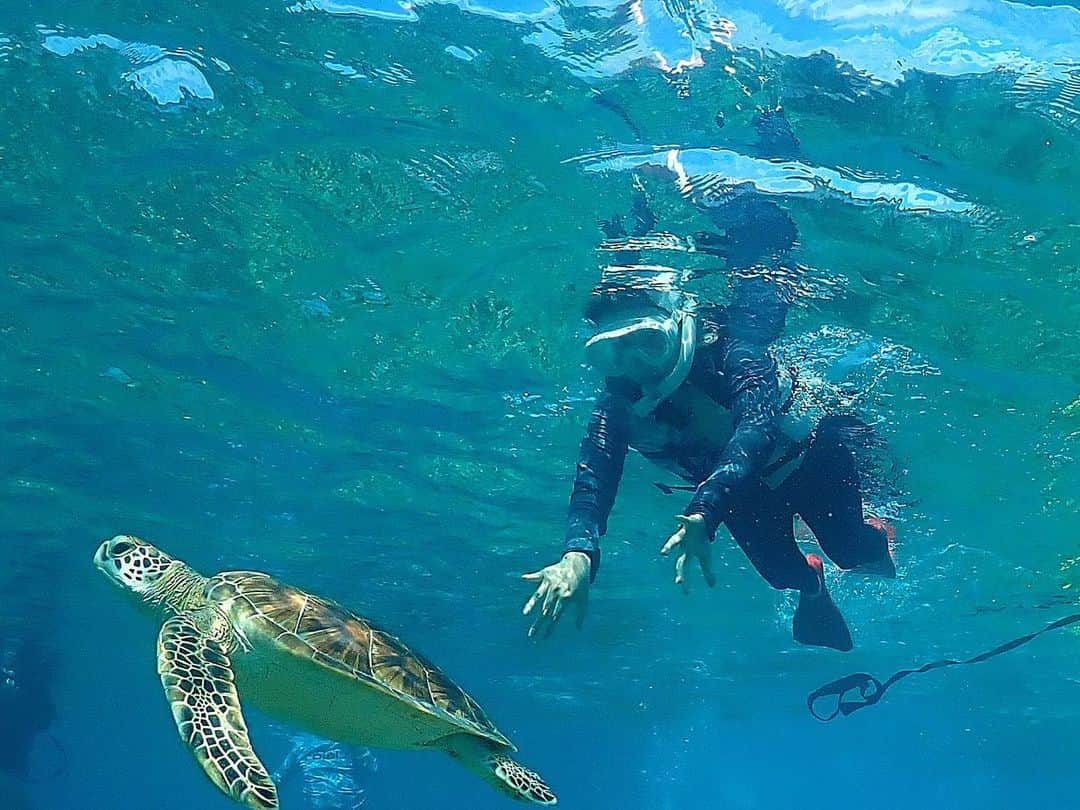 南りほさんのインスタグラム写真 - (南りほInstagram)「座間味島行った時の💙🐬  今回は焼けたくなくてラッシュガードで過ごしたし、水着は1回も着てないです 化粧もしたの1回？だけ😂  日焼け止め何回も塗りなおしながら紫外線対策バッチリにしたから今回は肌ダメージもなく全然焼けてない気がする🫶🏻  swipeして４枚目からも見てみてね✍🏻  海亀🐢さんに会えた😍ニモにも会えた😍  泳げなさすぎてライフジャケットなしじゃ無理でめちゃくちゃ手がダサいけど😂  海が大好きになった🐢🐠」10月3日 21時12分 - minami.riho