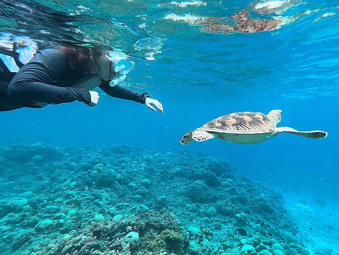 南りほさんのインスタグラム写真 - (南りほInstagram)「座間味島行った時の💙🐬  今回は焼けたくなくてラッシュガードで過ごしたし、水着は1回も着てないです 化粧もしたの1回？だけ😂  日焼け止め何回も塗りなおしながら紫外線対策バッチリにしたから今回は肌ダメージもなく全然焼けてない気がする🫶🏻  swipeして４枚目からも見てみてね✍🏻  海亀🐢さんに会えた😍ニモにも会えた😍  泳げなさすぎてライフジャケットなしじゃ無理でめちゃくちゃ手がダサいけど😂  海が大好きになった🐢🐠」10月3日 21時12分 - minami.riho