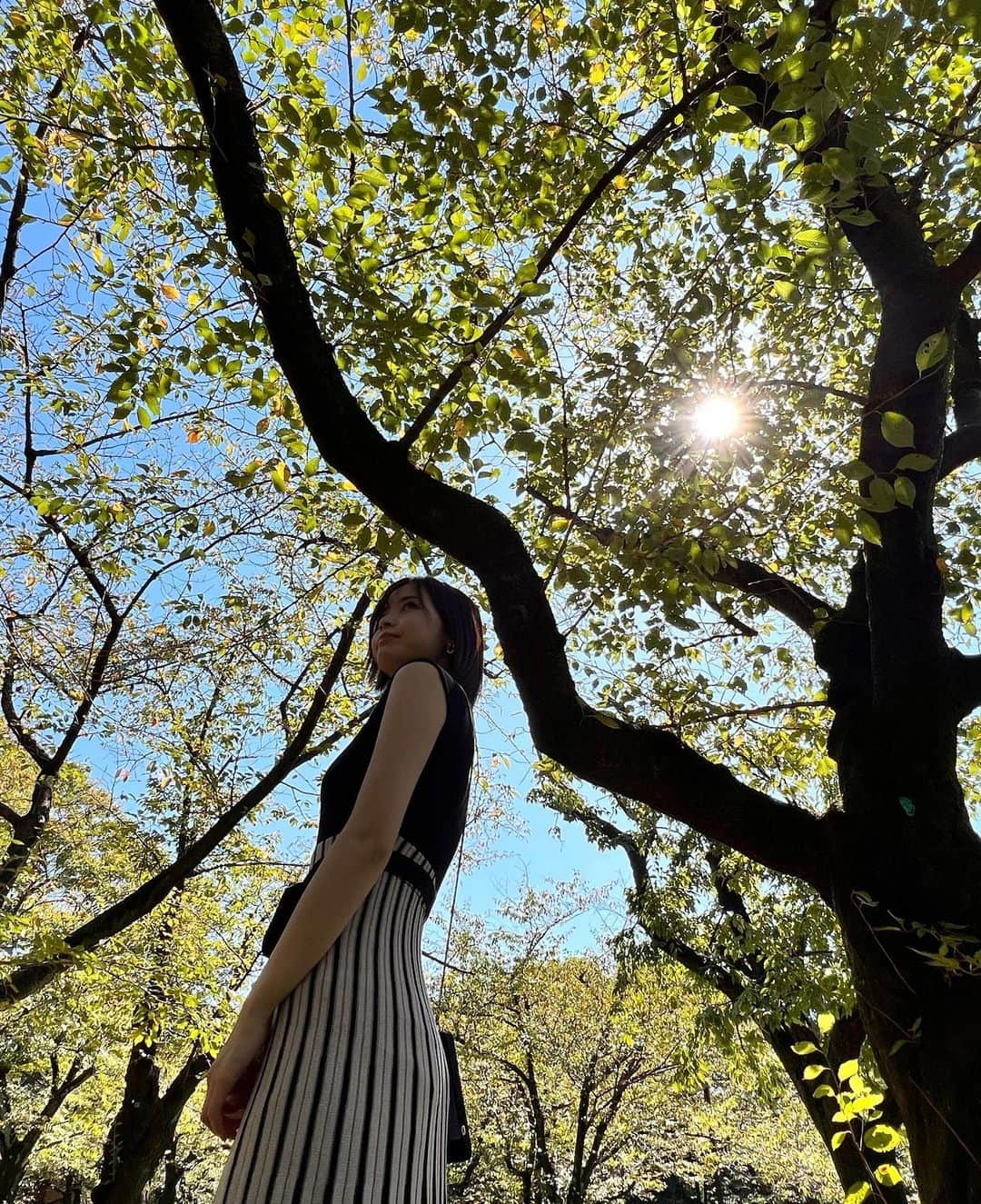 蒼乃茜さんのインスタグラム写真 - (蒼乃茜Instagram)「sunny autumn 🍂   #ピクニック #晴れ #公園 #あつすぎ」10月3日 23時52分 - aono_akane