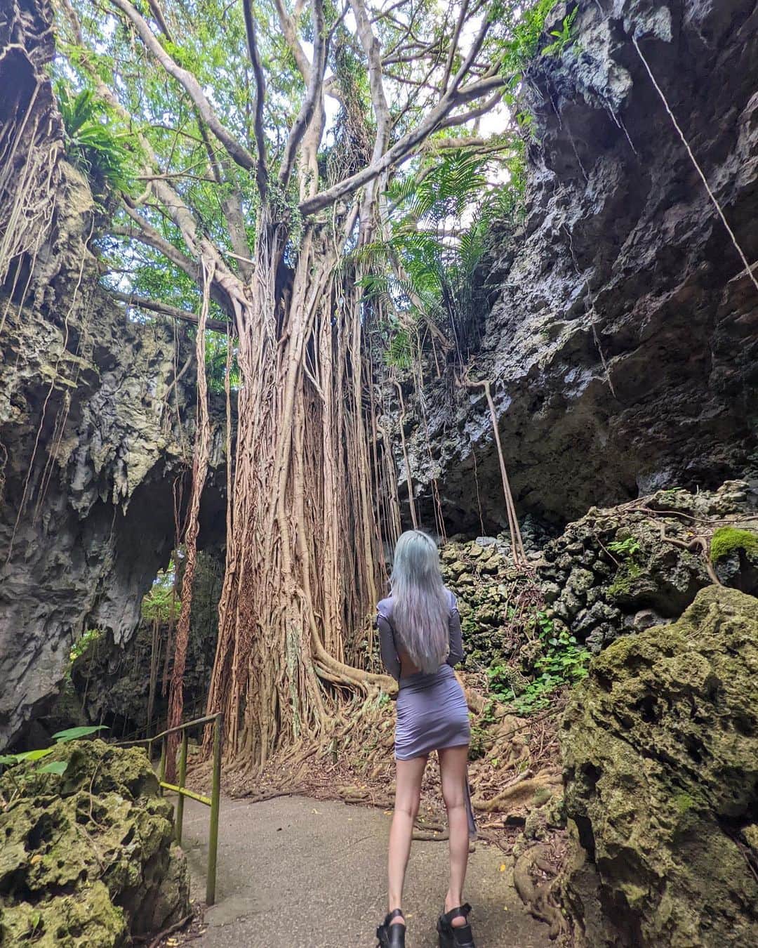 美咲あいりさんのインスタグラム写真 - (美咲あいりInstagram)「🌳🪸🏜 ⁡ ⁡ #ガンガラーの谷 #ウフシュガジュマル #ガジュマルの木 #鍾乳洞 #洞窟 #沖縄 #valleyofgangala」10月4日 13時37分 - misakiairi