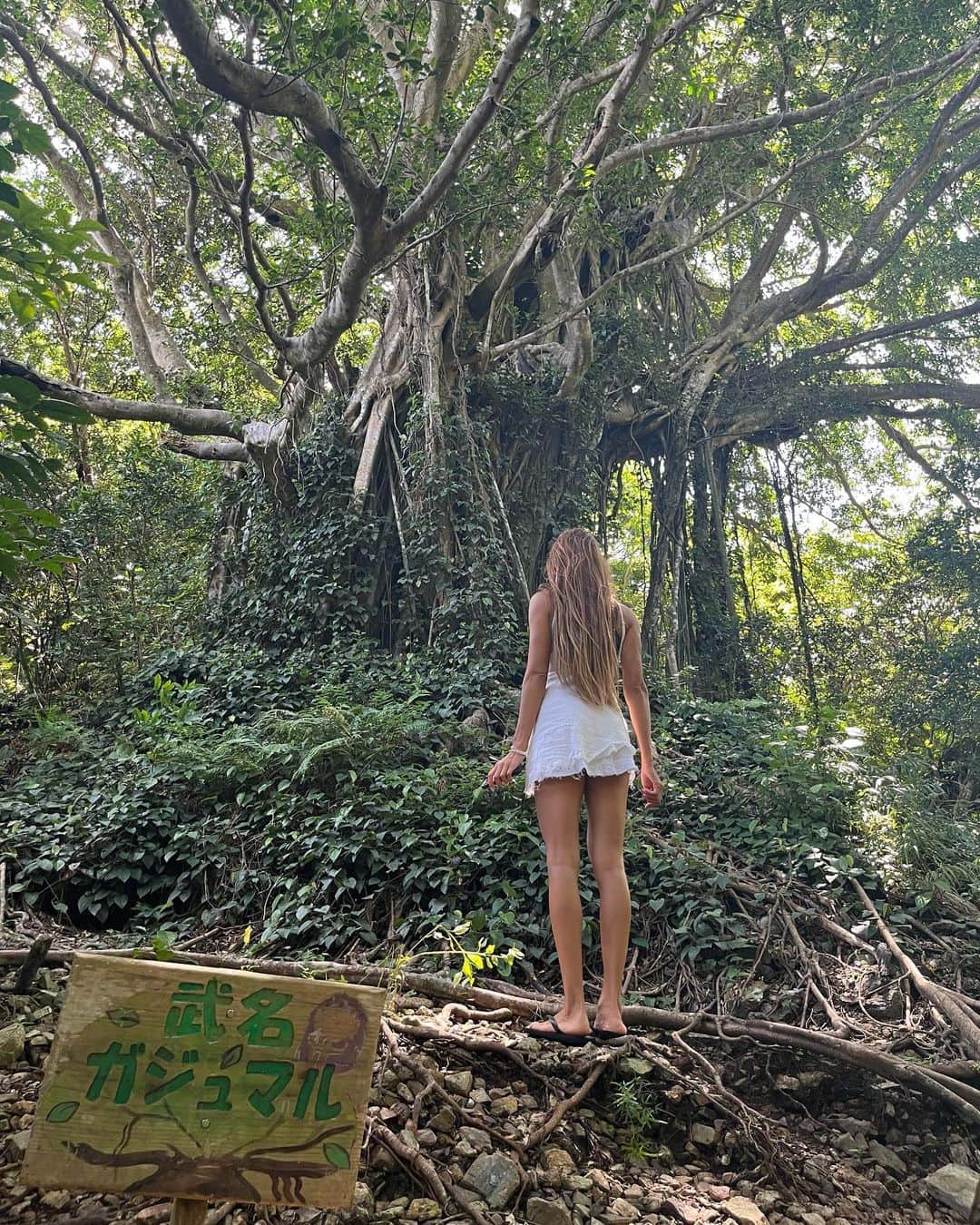 道端カレンさんのインスタグラム写真 - (道端カレンInstagram)「🛥  @the_scene_wellnessresort では、 加計呂麻島上陸＆クルーズ というアクティビティにも参加しました♪  この大きな木、パワースポットらしいです❤︎  #奄美大島 #ネイチャークレンズ #ザシーン奄美大島  #息子と2人旅」10月5日 10時00分 - karenmichibata