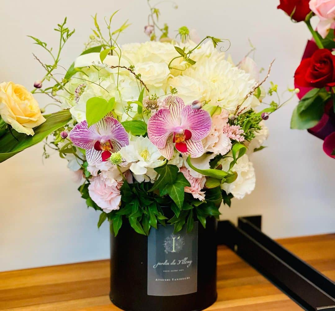 三浦瑠麗さんのインスタグラム写真 - (三浦瑠麗Instagram)「これから座談会にくるお客さまを待ちながら、ジーナちゃんとお茶をして薔薇の香りを楽しむ。 今朝もお友だちから花を送っていただきました。 お花っていいね。」10月5日 12時46分 - lullymiura